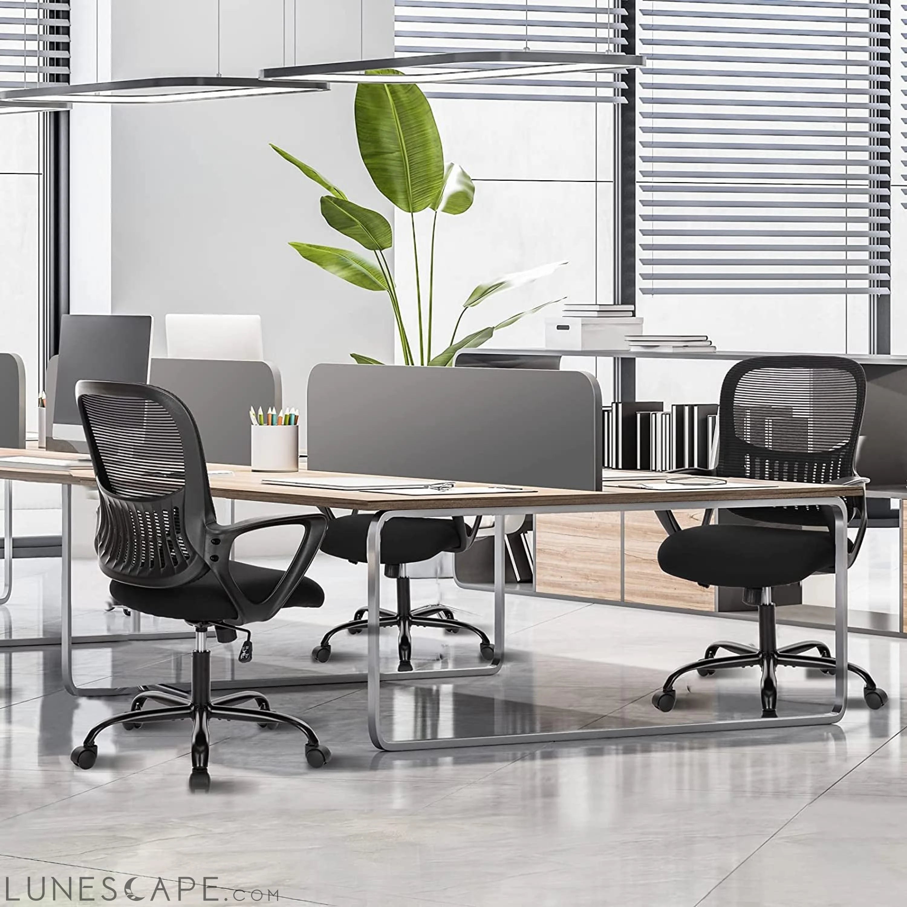 Home Office Computer Desk Chair, Ergonomic Managerial Executive LUNESCAPE