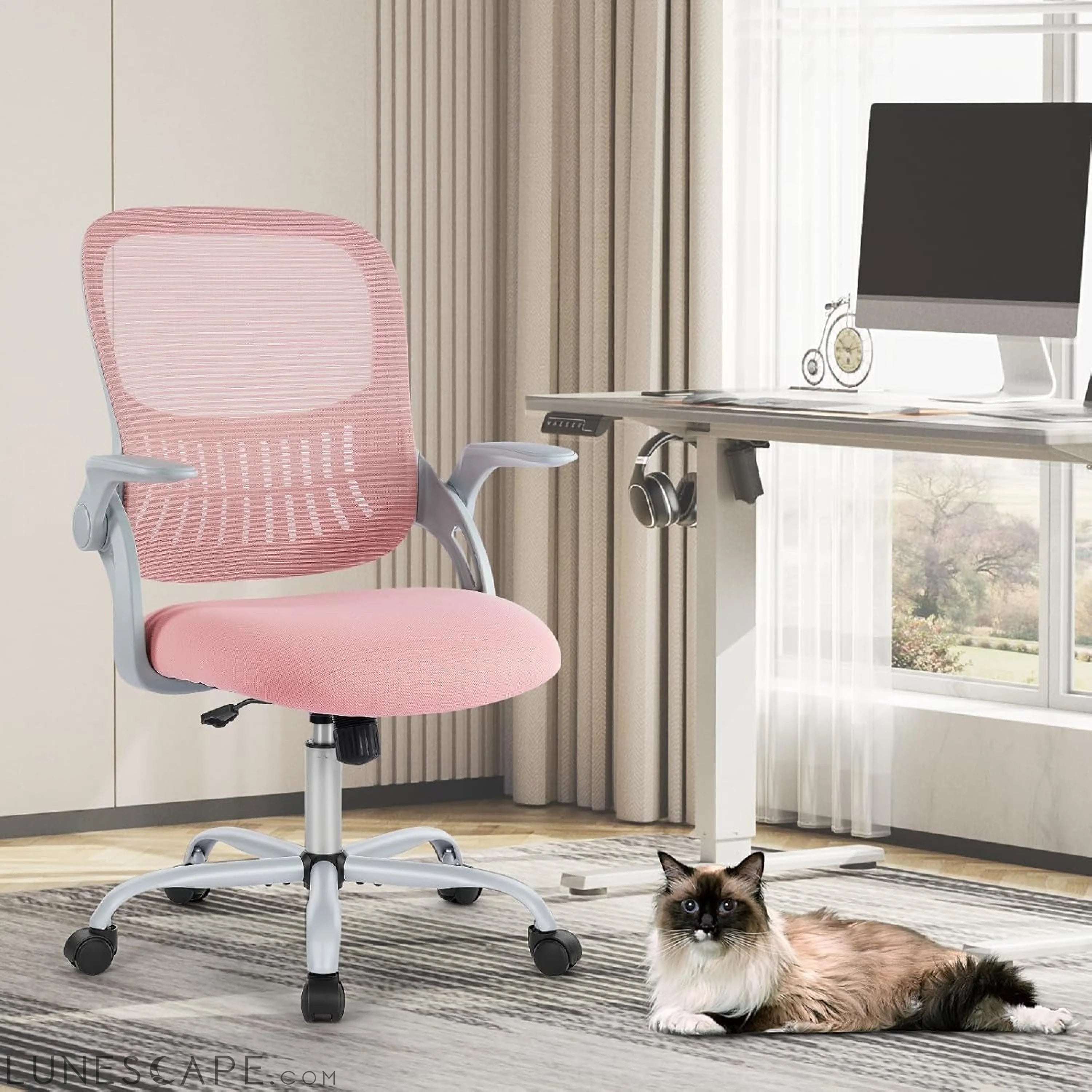 Home Office Computer Desk Chair, Ergonomic Mid-Back Mesh Rolling Work LUNESCAPE
