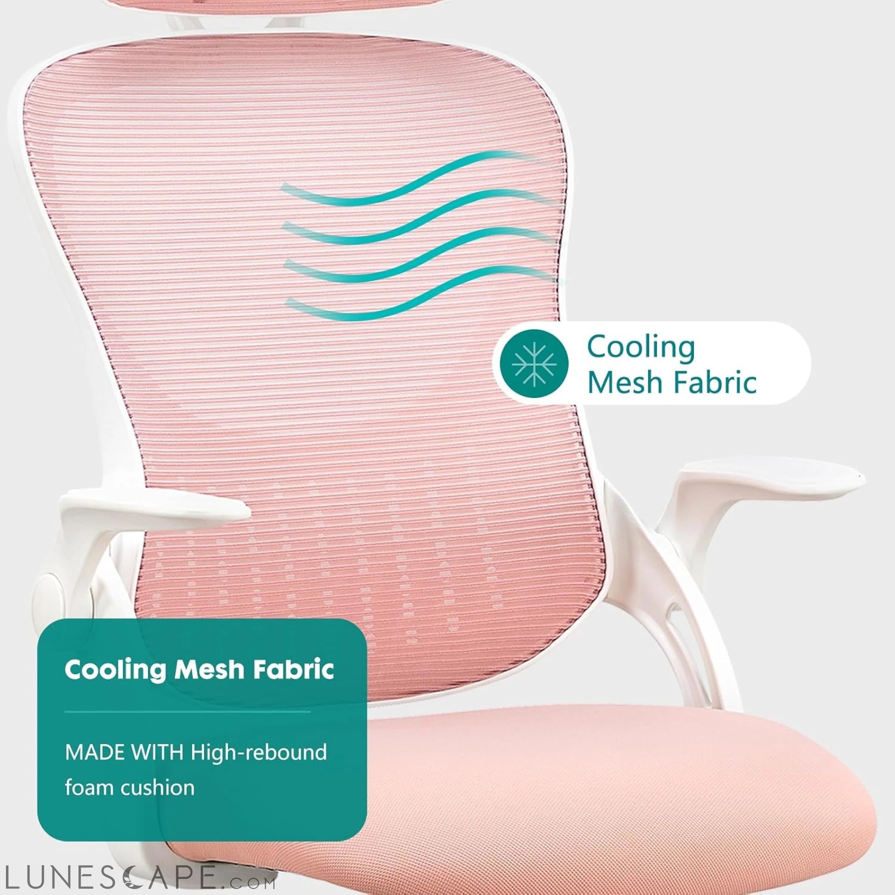 Home Office Desk Chair, Ergonomic Computer Managerial Executive Chairs LUNESCAPE