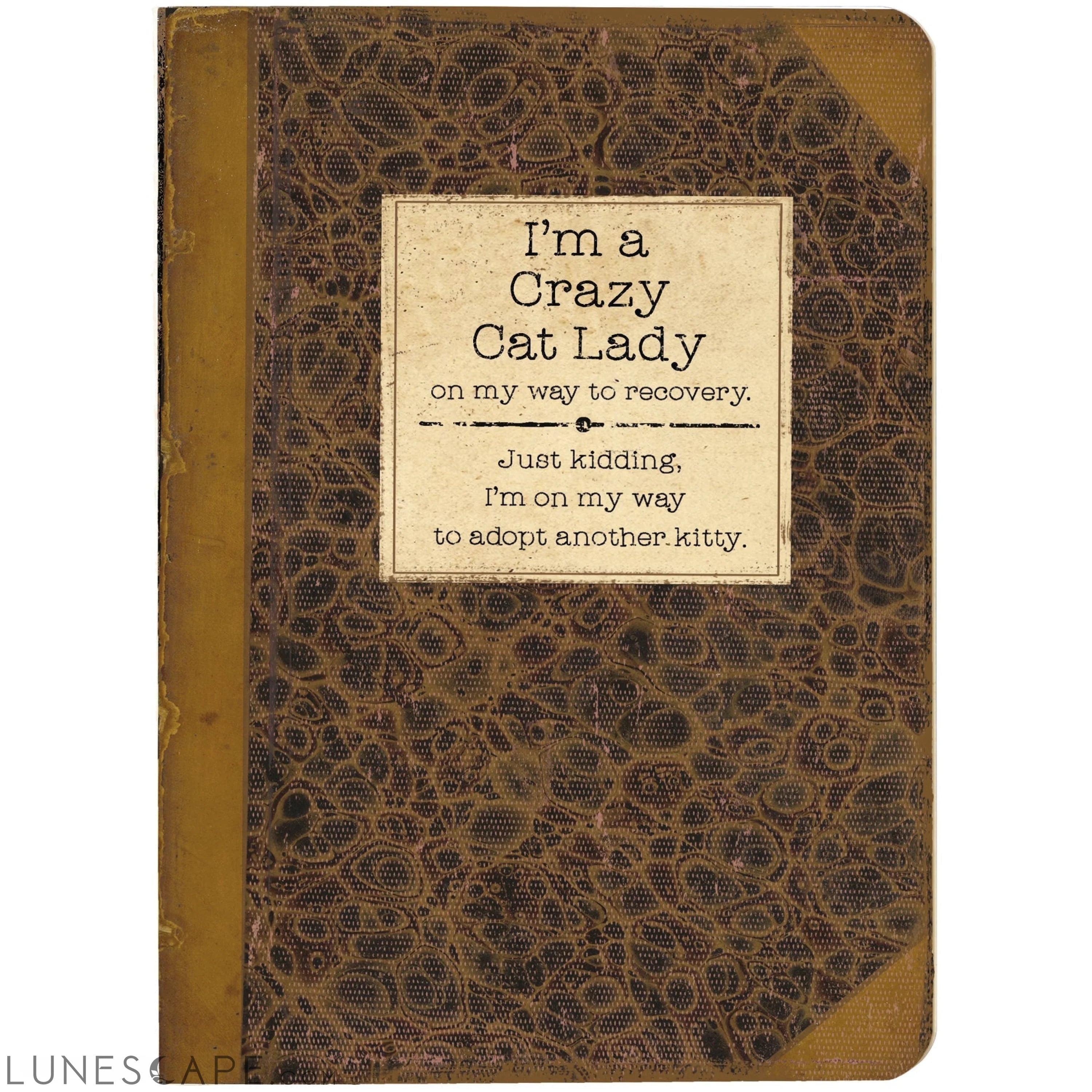 I'm A Crazy Cat Lady On My Way To Recovery Journal | Vintage Book LUNESCAPE