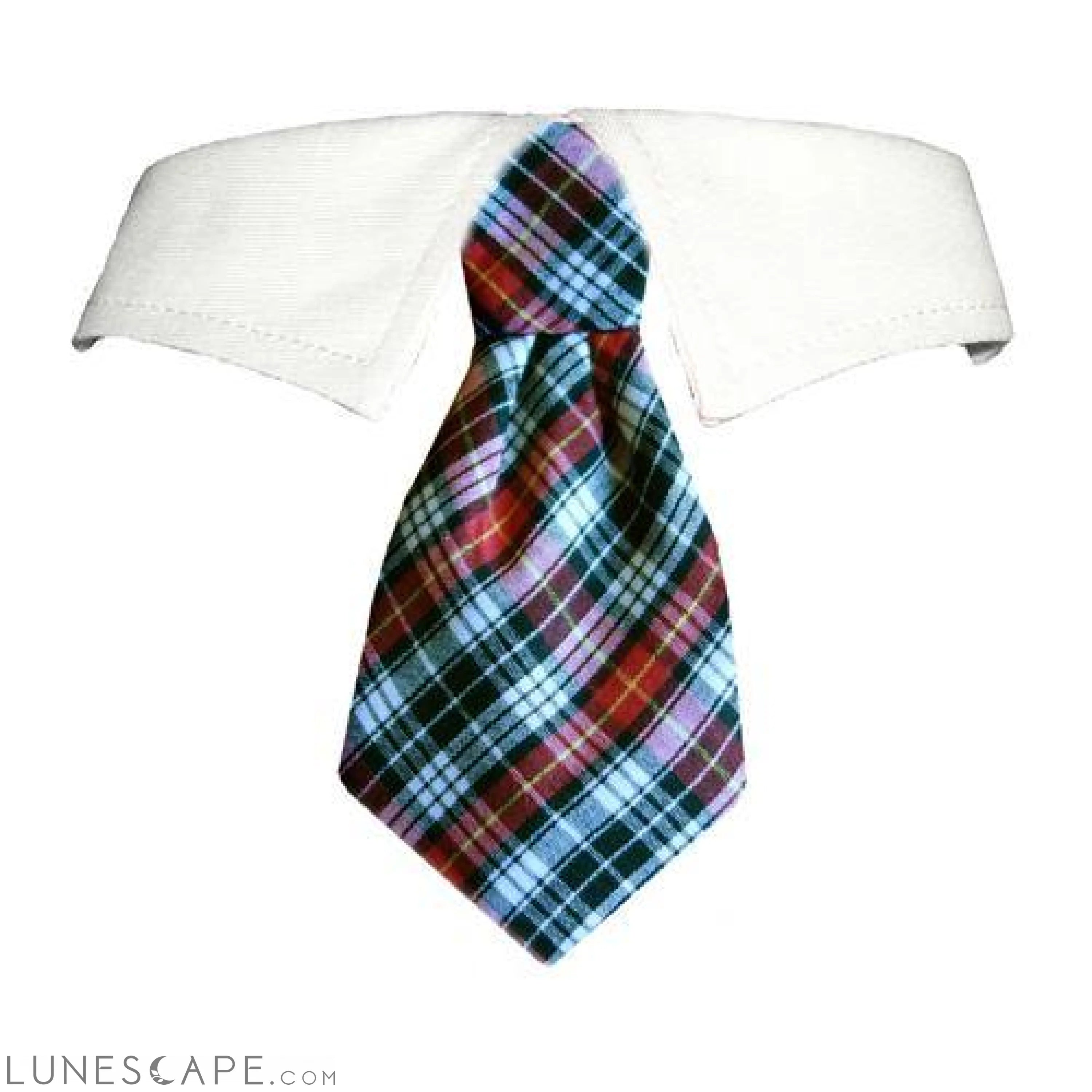 Jeff Shirt Collar for Pets LUNESCAPE