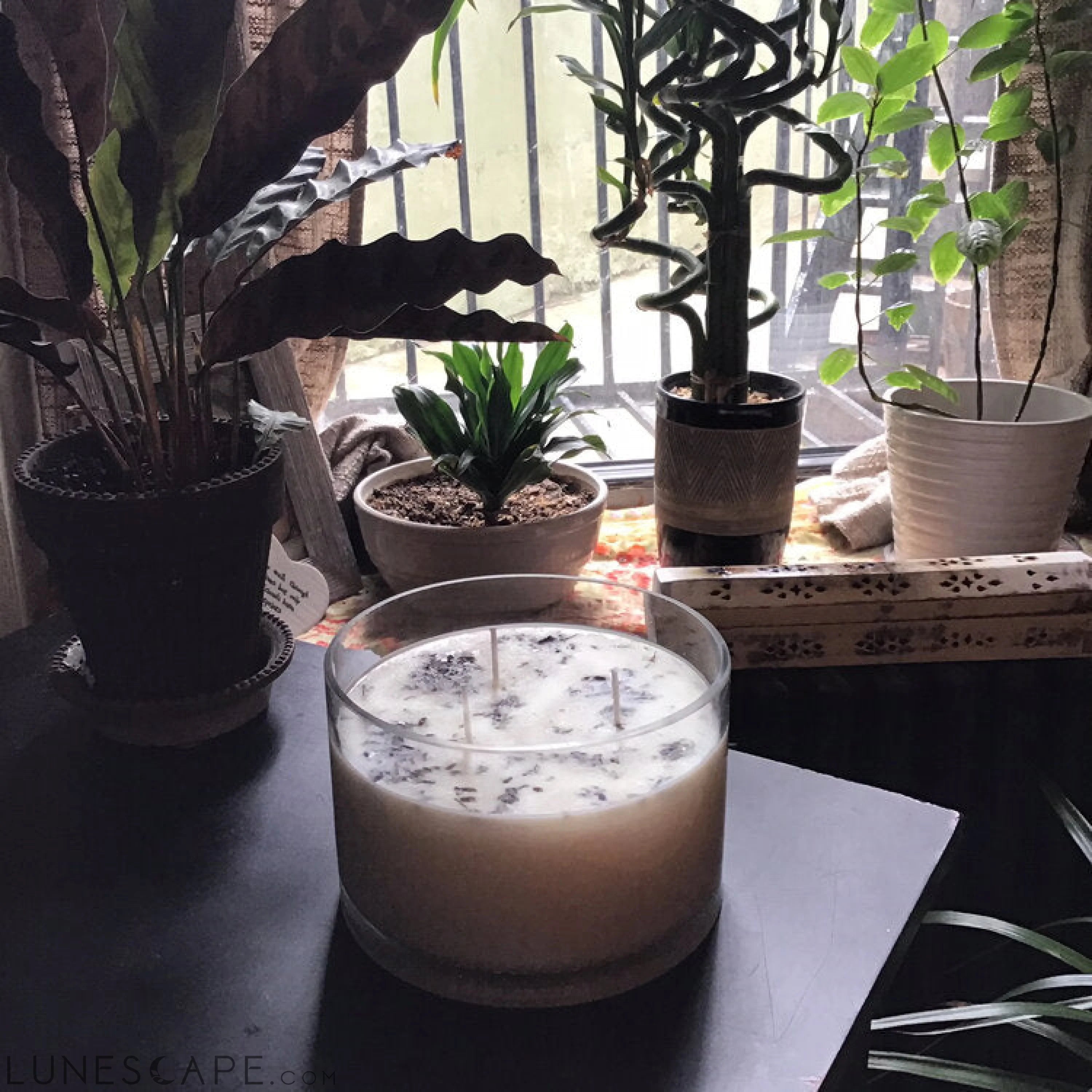 Lavender 3 Wick Aromatherapy Large Soy Wax Candle LUNESCAPE