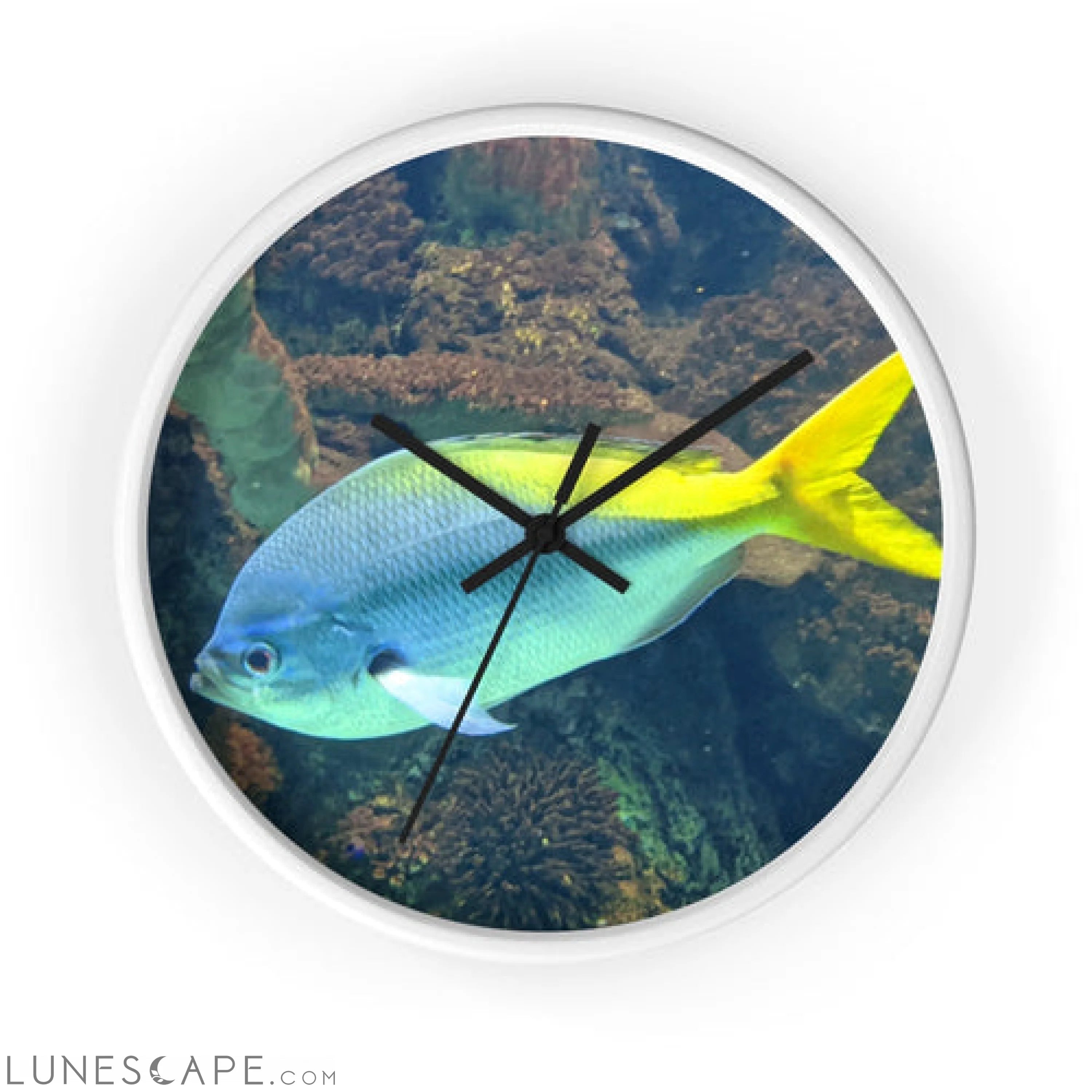 Light Blue and Yellow Fish Wall clock LUNESCAPE
