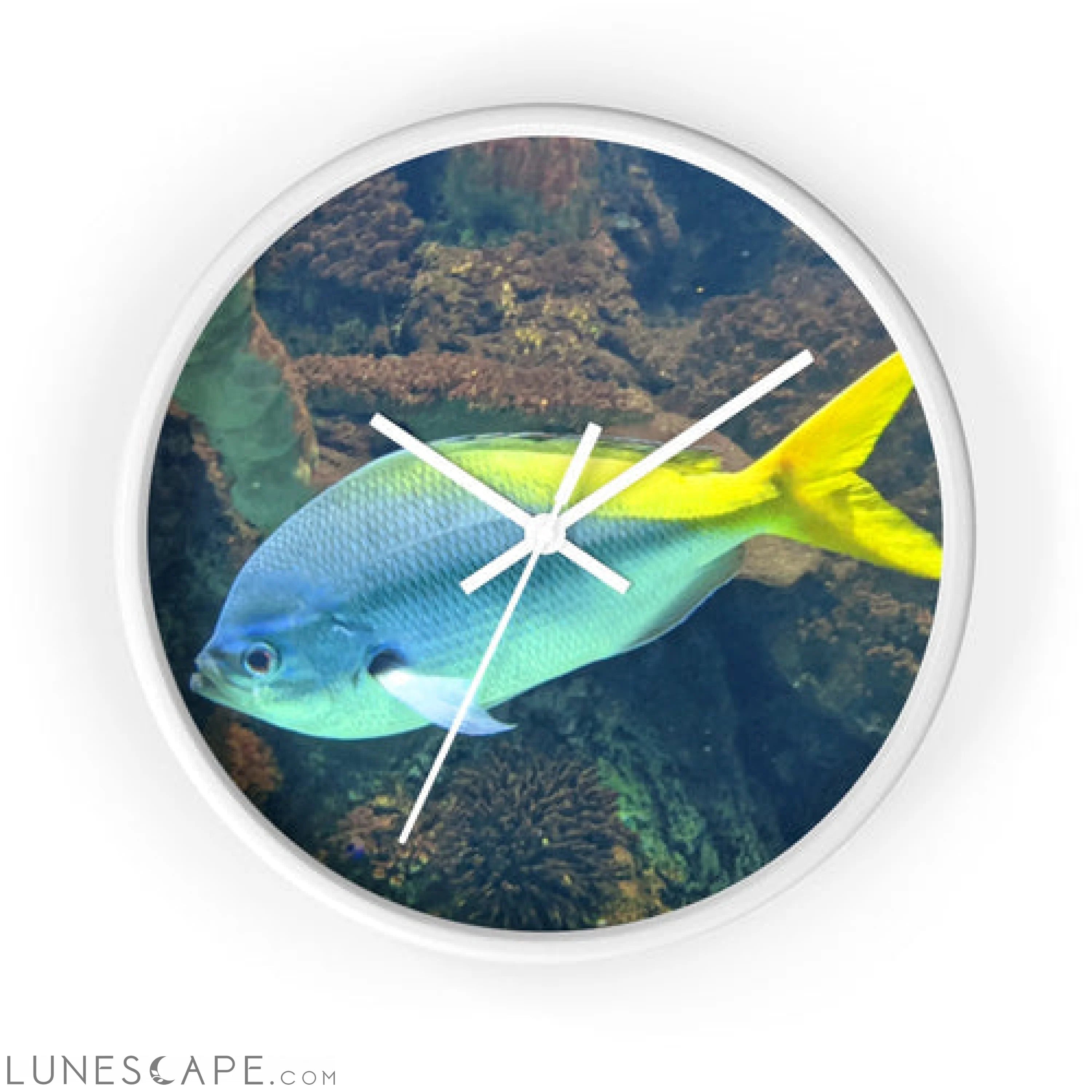Light Blue and Yellow Fish Wall clock LUNESCAPE