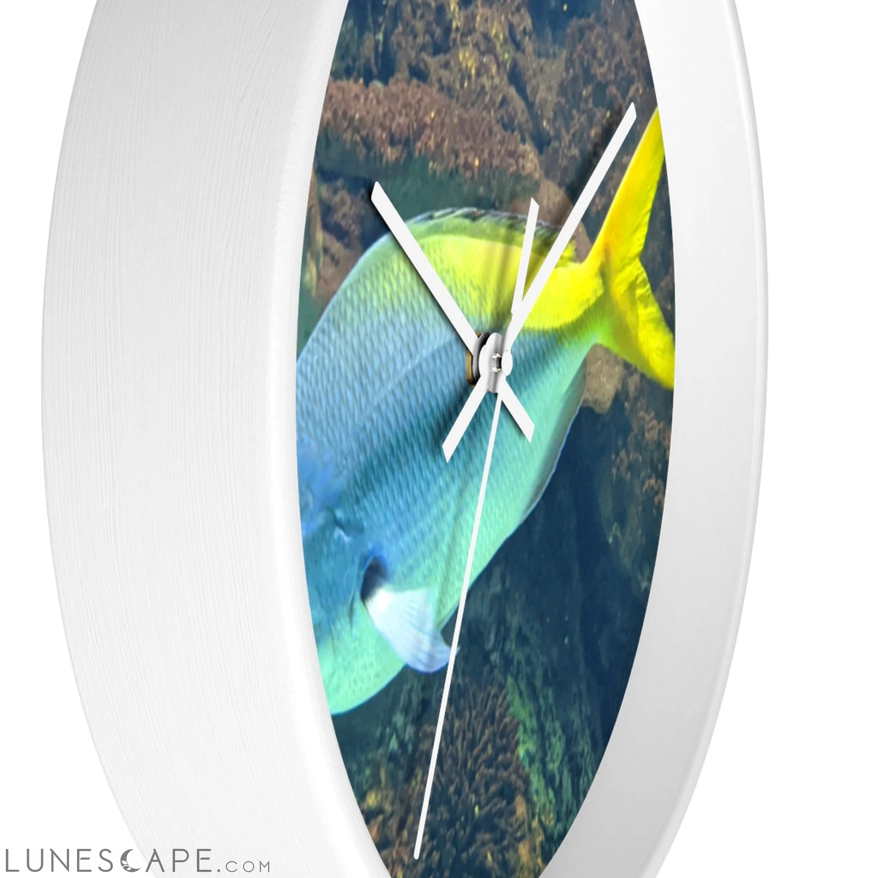 Light Blue and Yellow Fish Wall clock LUNESCAPE