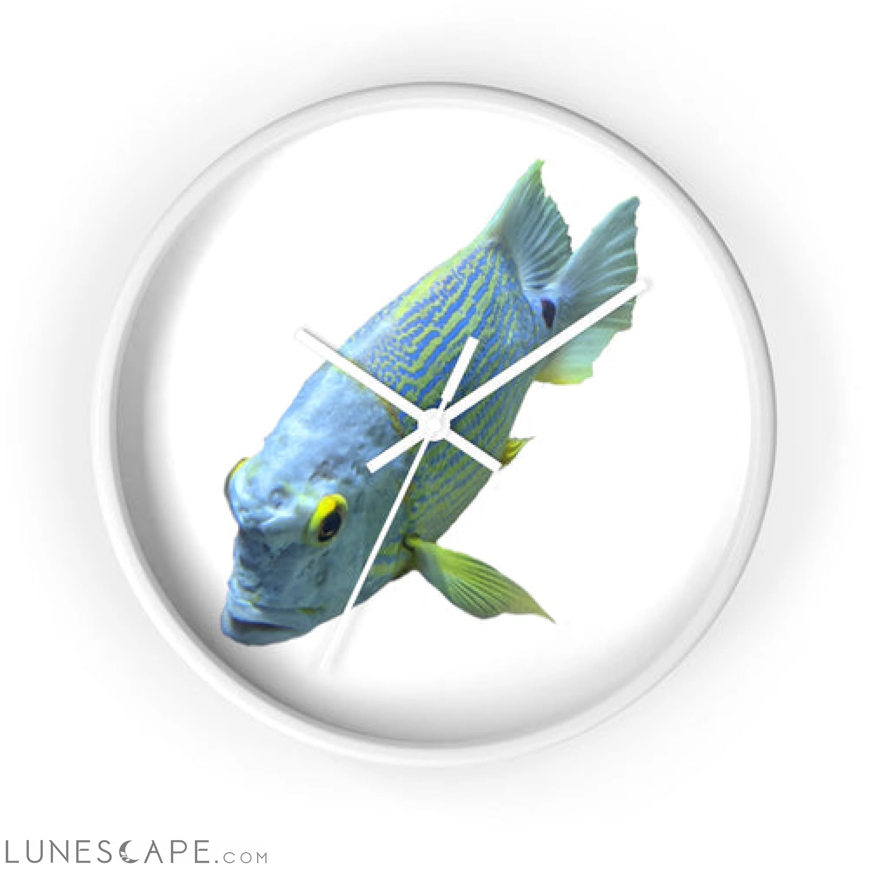 Light Blue Fish Wall clock LUNESCAPE