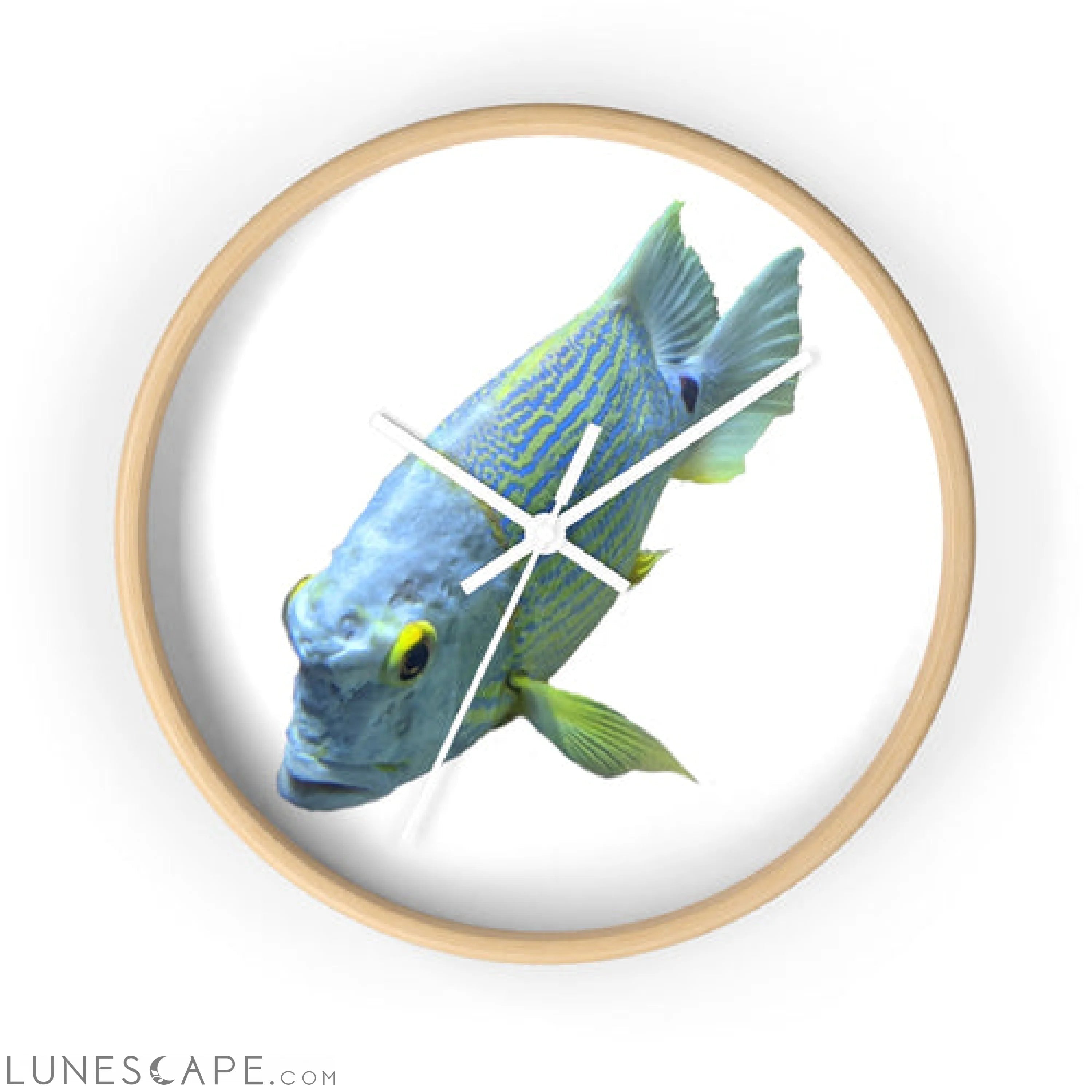 Light Blue Fish Wall clock LUNESCAPE