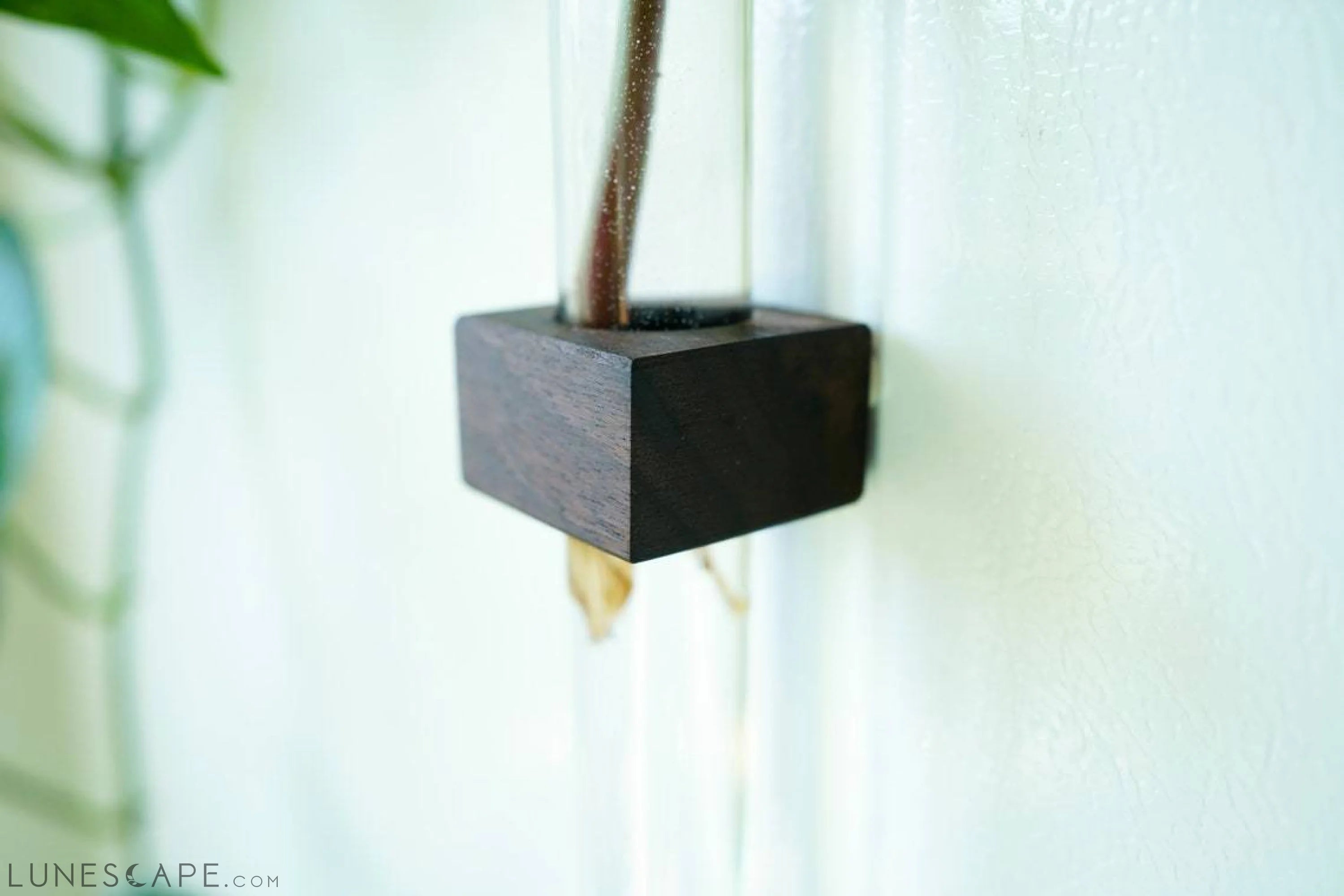 Magnetic Flower & Propagation Vase LUNESCAPE