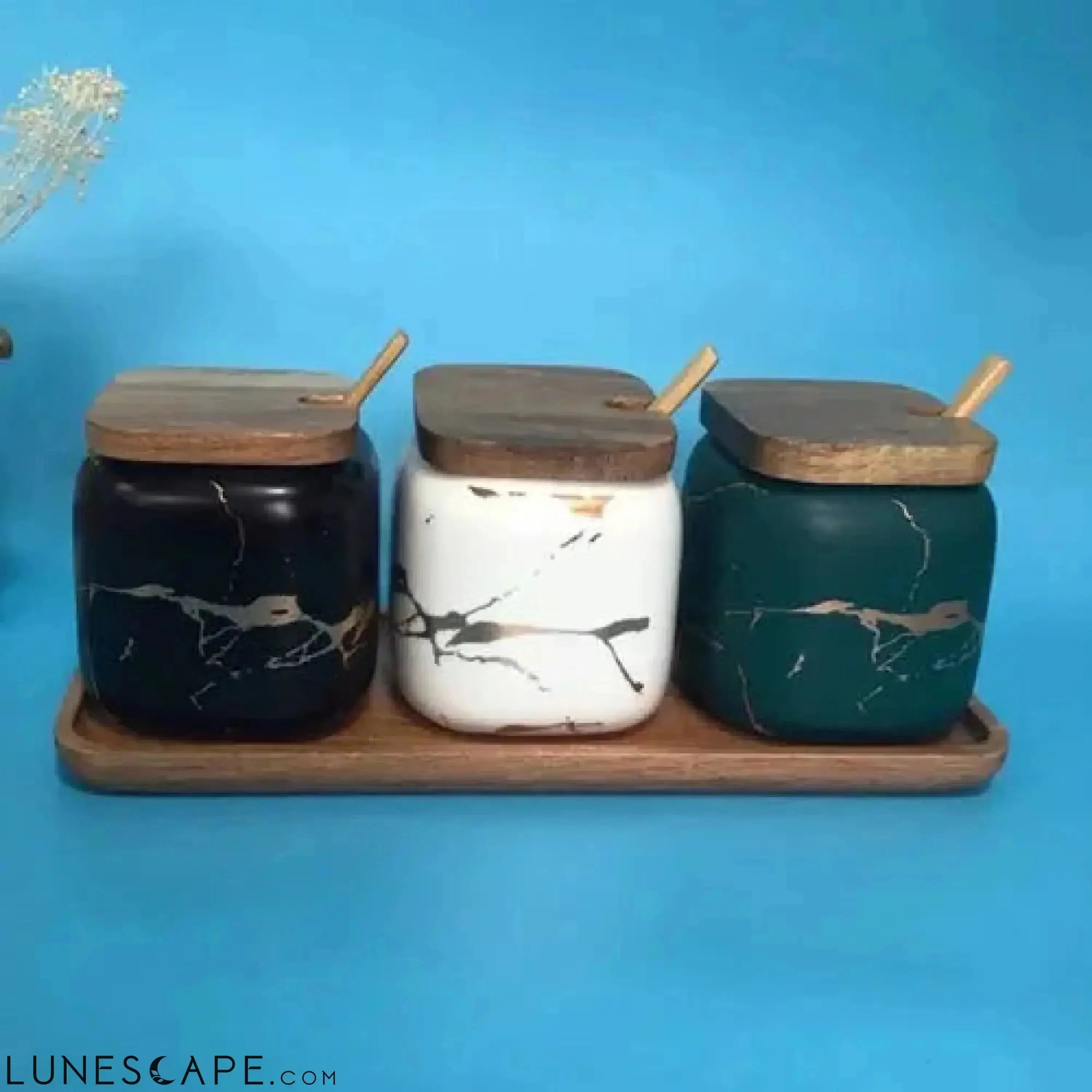 Marble Pattern Ceramic Spice Jars LUNESCAPE