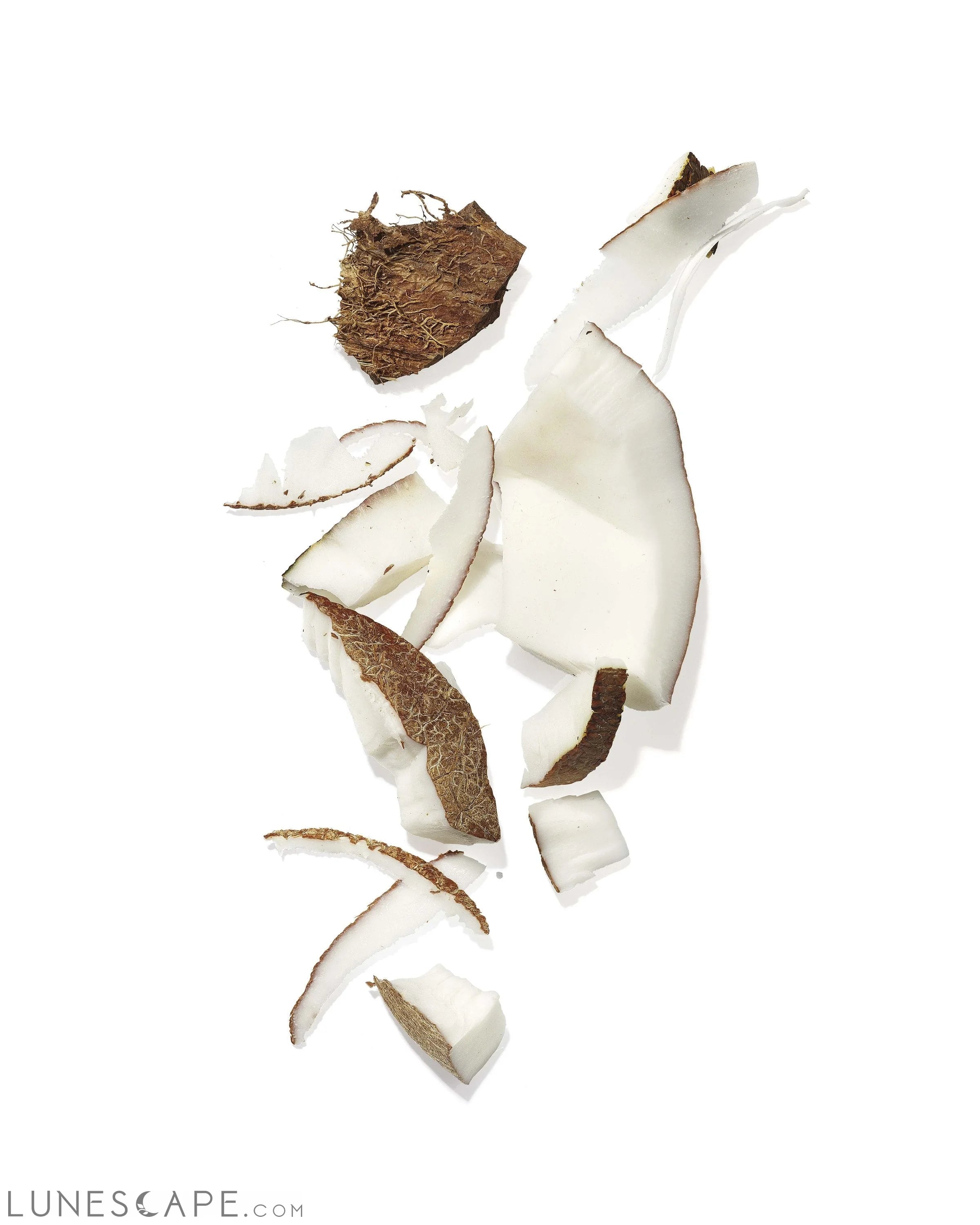Mekabu Hydrating Salon Size Shampoo LUNESCAPE