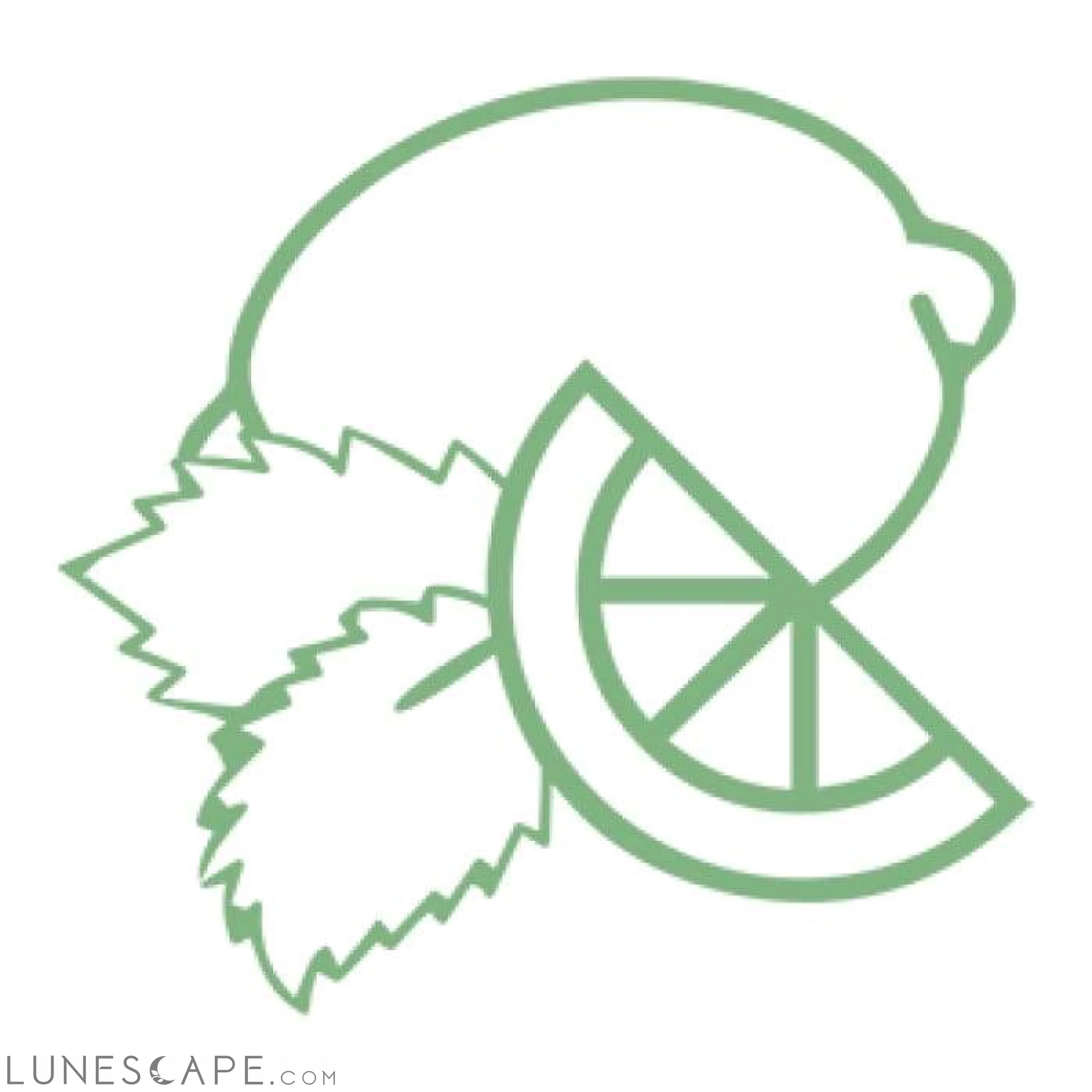 Mojito Blend Pure Essential Oil Bottle - 15ml LUNESCAPE