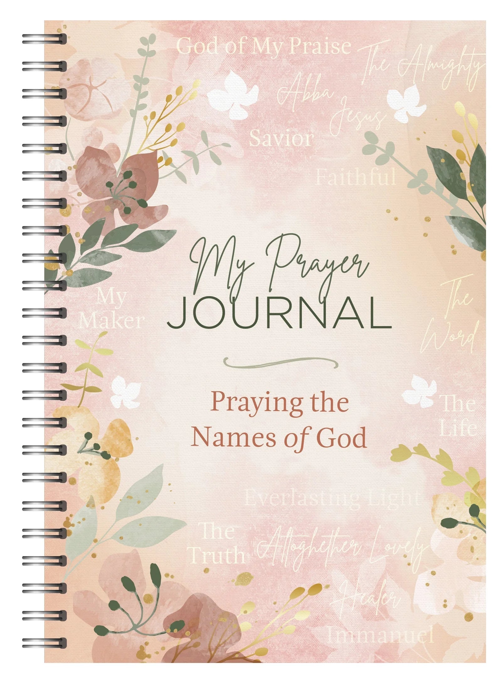 My Prayer Journal: Praying the Names of God LUNESCAPE