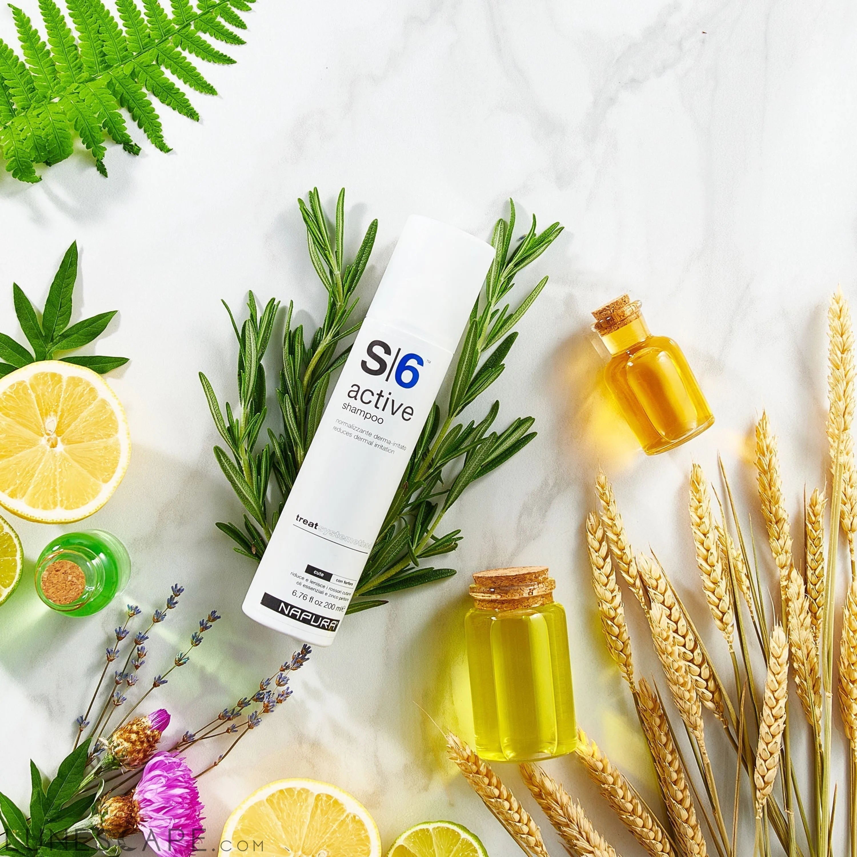 NAPURA Anti Dandruff Bundle (Shampoo and Scalp Lotion) LUNESCAPE