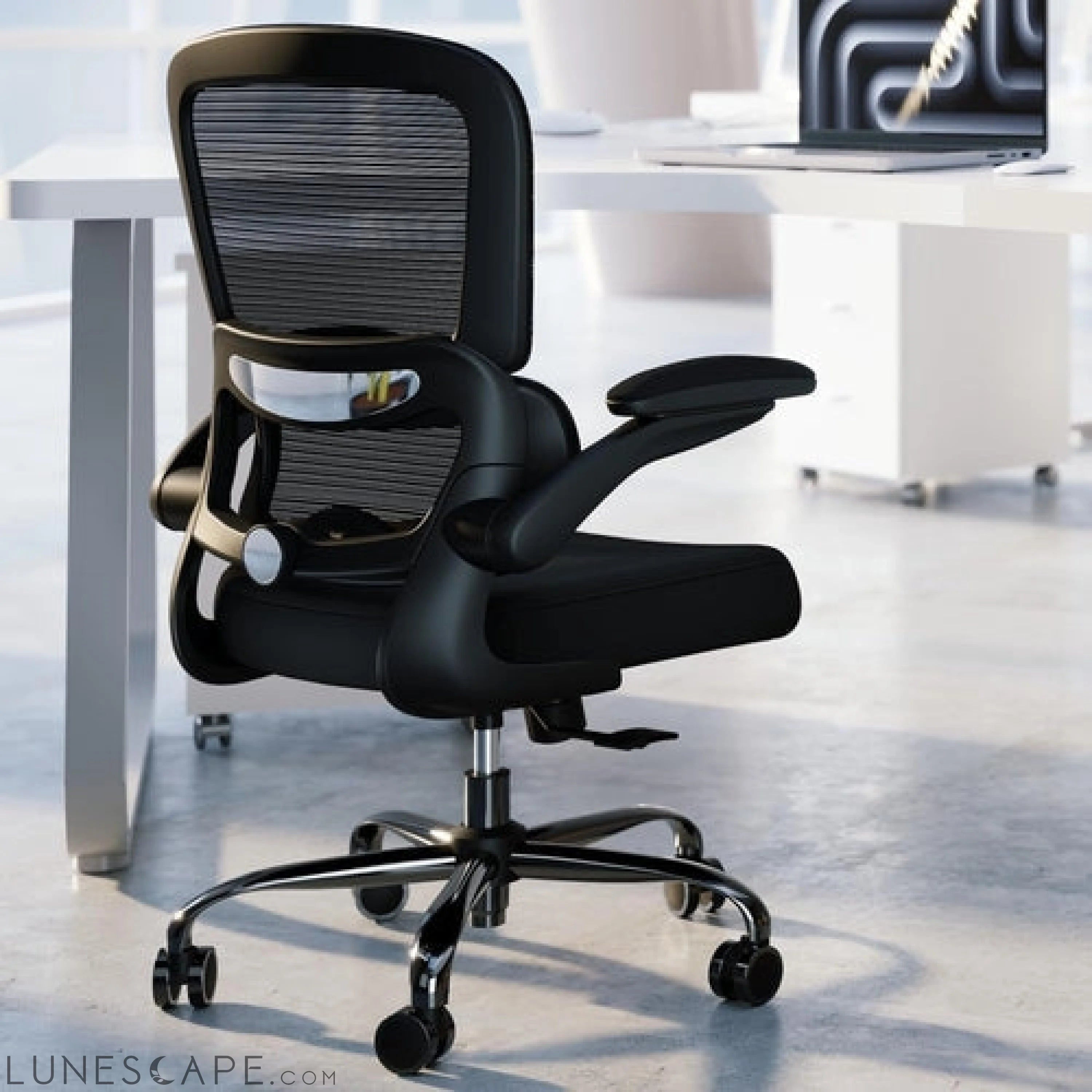 Office Chair - Ergonomic Desk Chair with Adjustable Lumbar Support, LUNESCAPE
