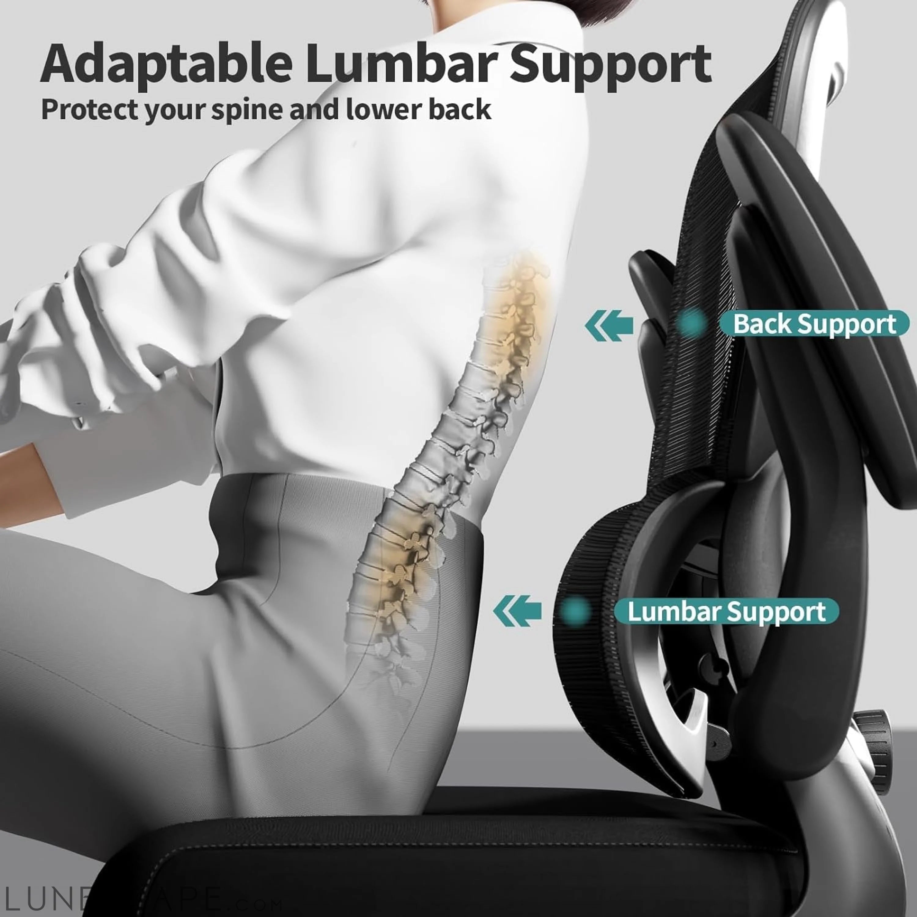 Office Chair - Ergonomic Desk Chair with Adjustable Lumbar Support, LUNESCAPE