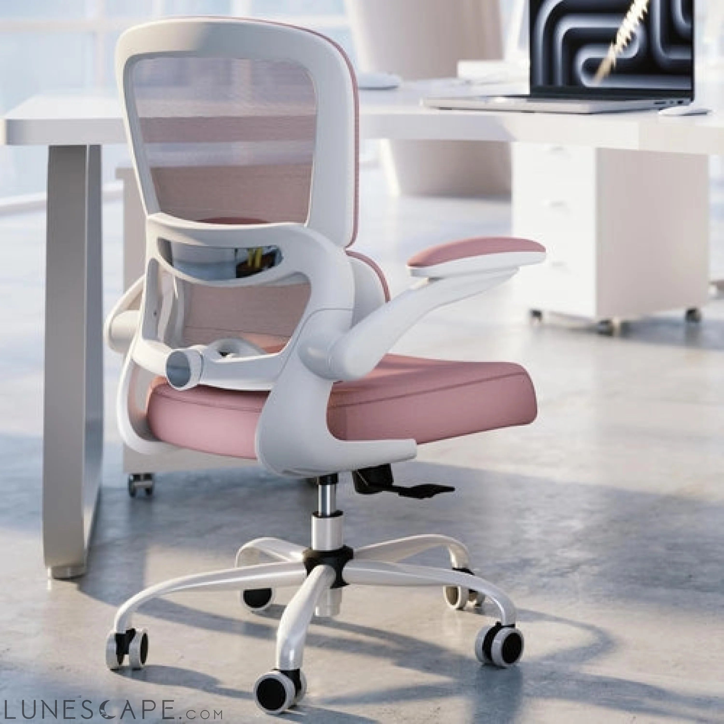 Office Chair - Ergonomic Desk Chair with Adjustable Lumbar Support, LUNESCAPE