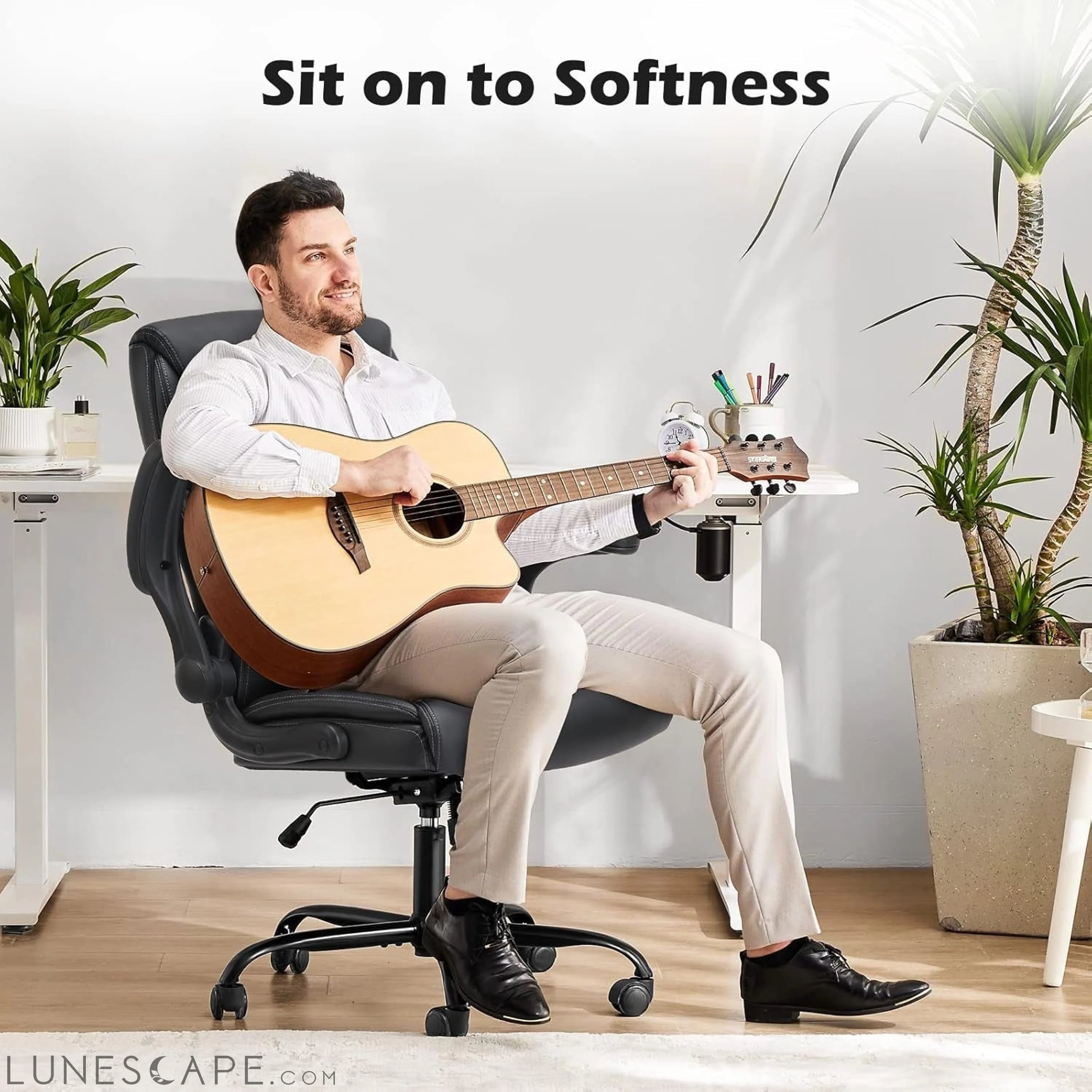 Office Chair - Ergonomic Executive Computer Desk Chairs with LUNESCAPE
