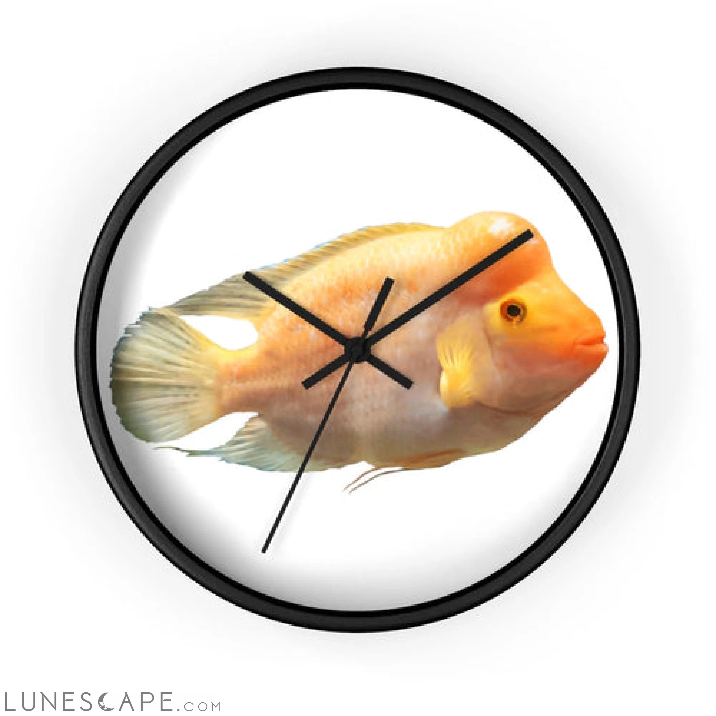 Orange Fish Wall clock LUNESCAPE