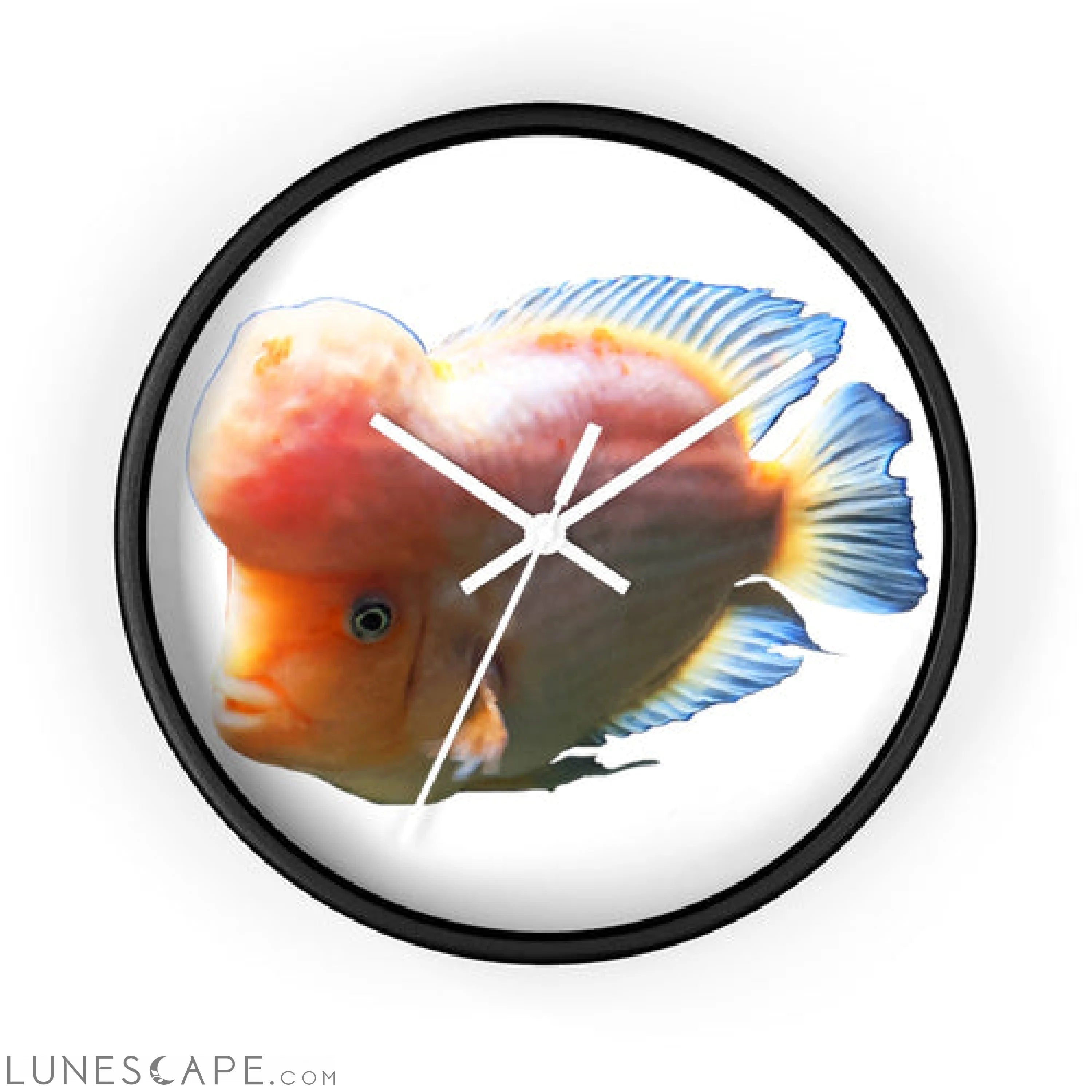 Orange Fish Wall clock LUNESCAPE
