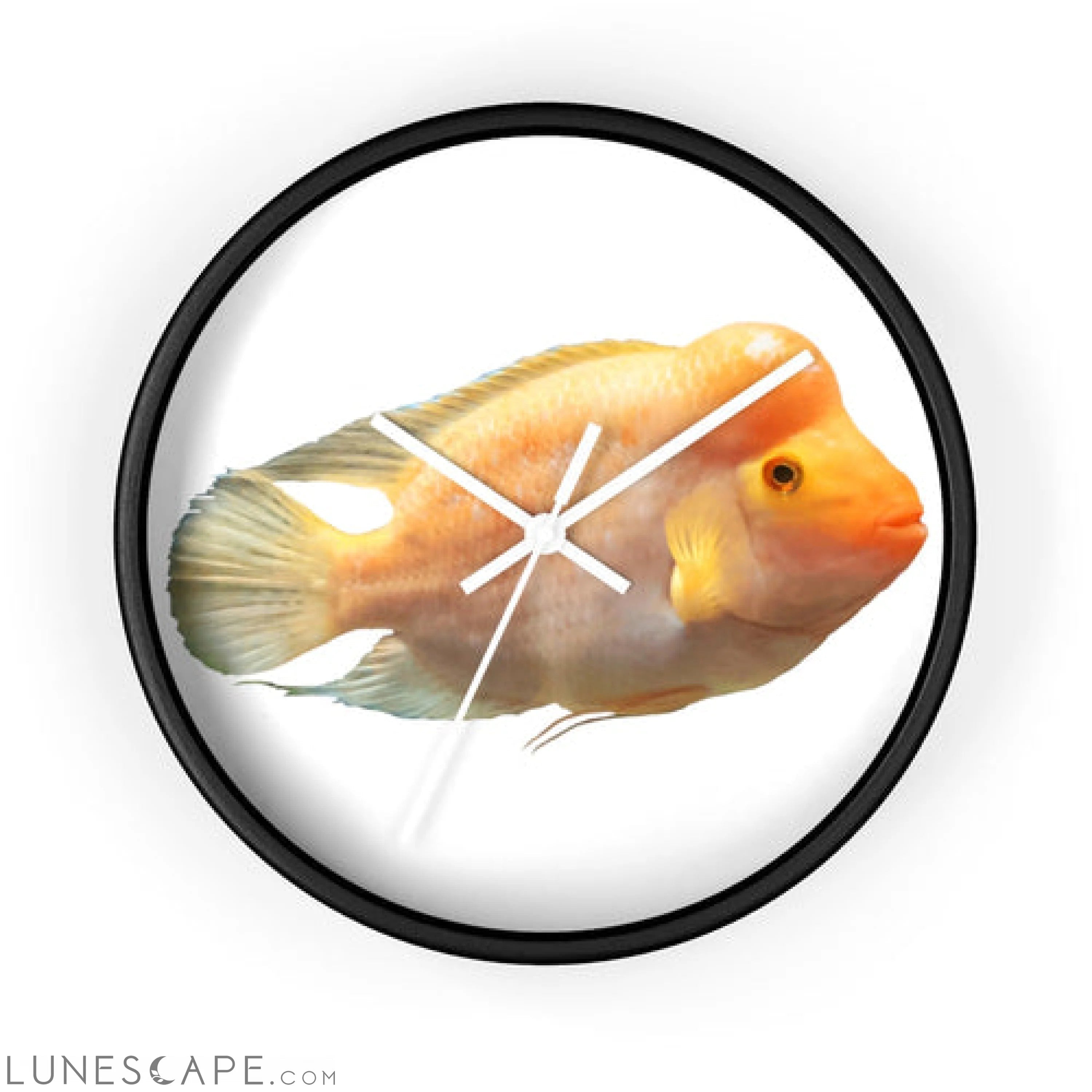 Orange Fish Wall clock LUNESCAPE