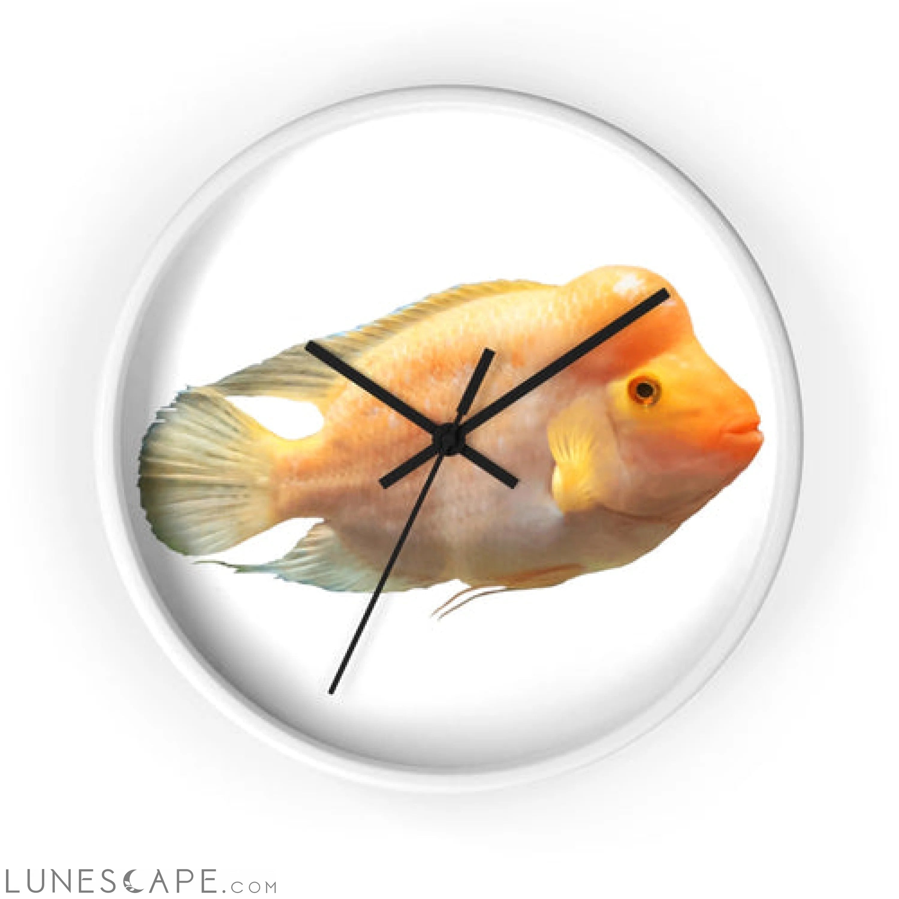 Orange Fish Wall clock LUNESCAPE