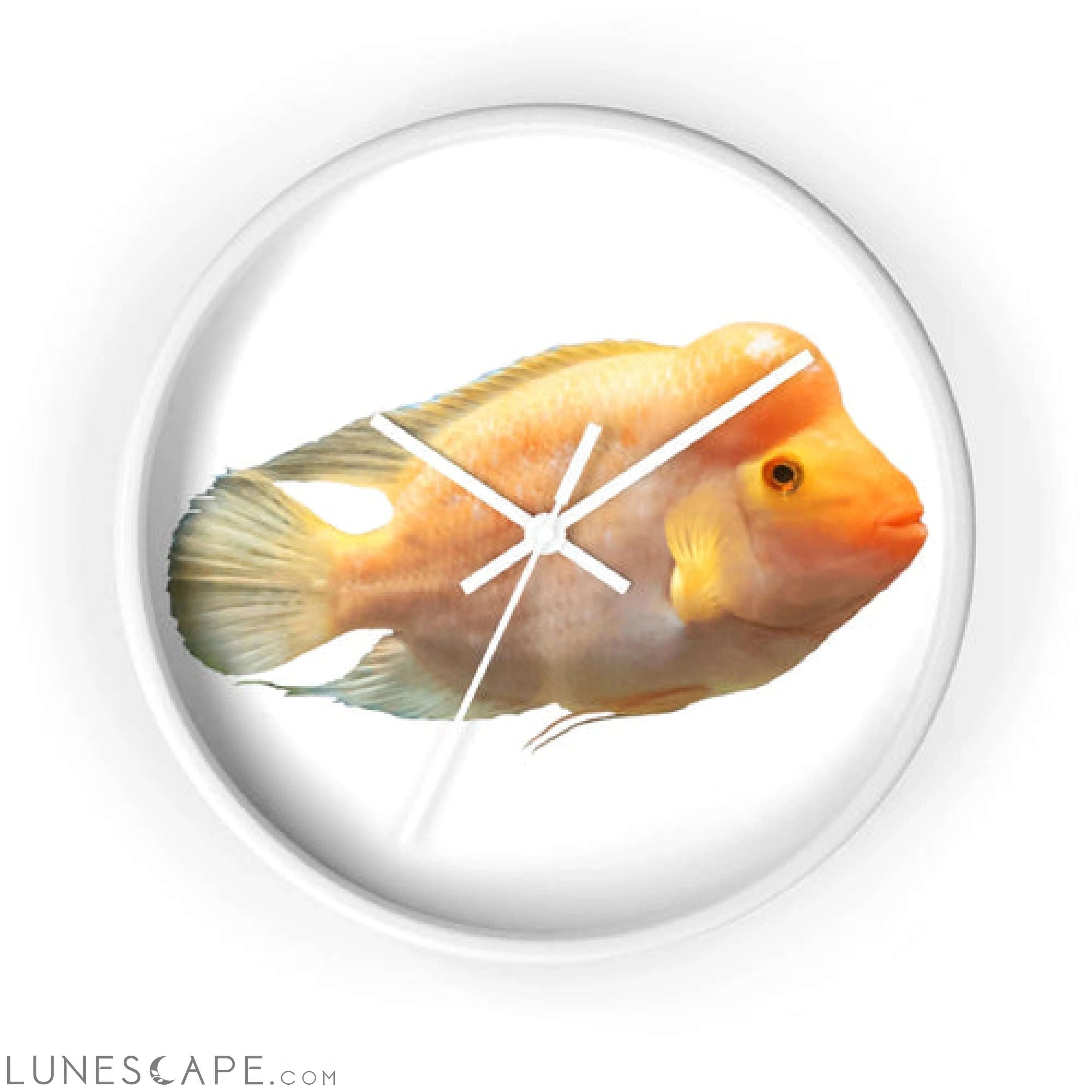 Orange Fish Wall clock LUNESCAPE