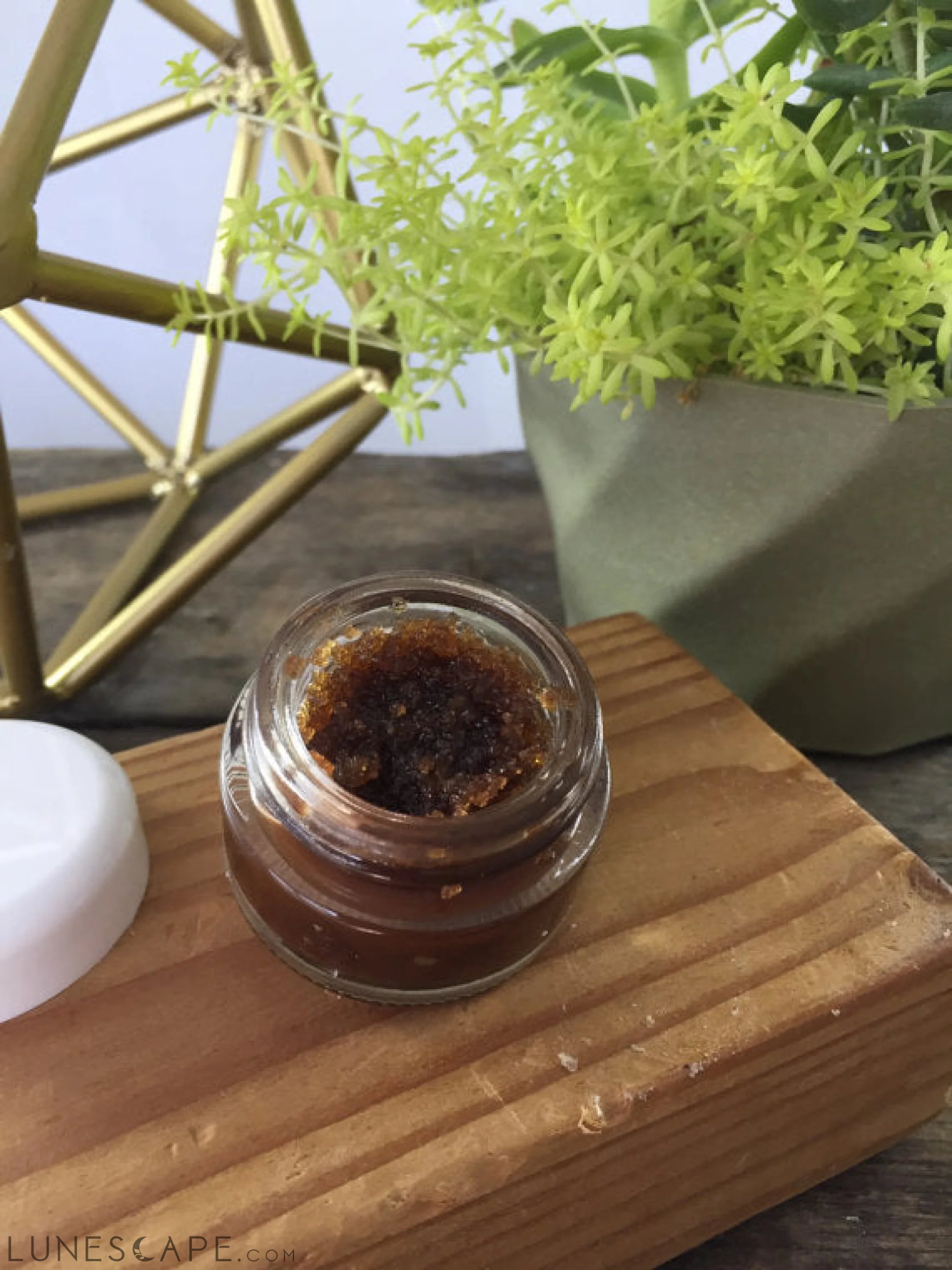 Organic Chocolate Lip Scrub Flaky Chapped Lips LUNESCAPE