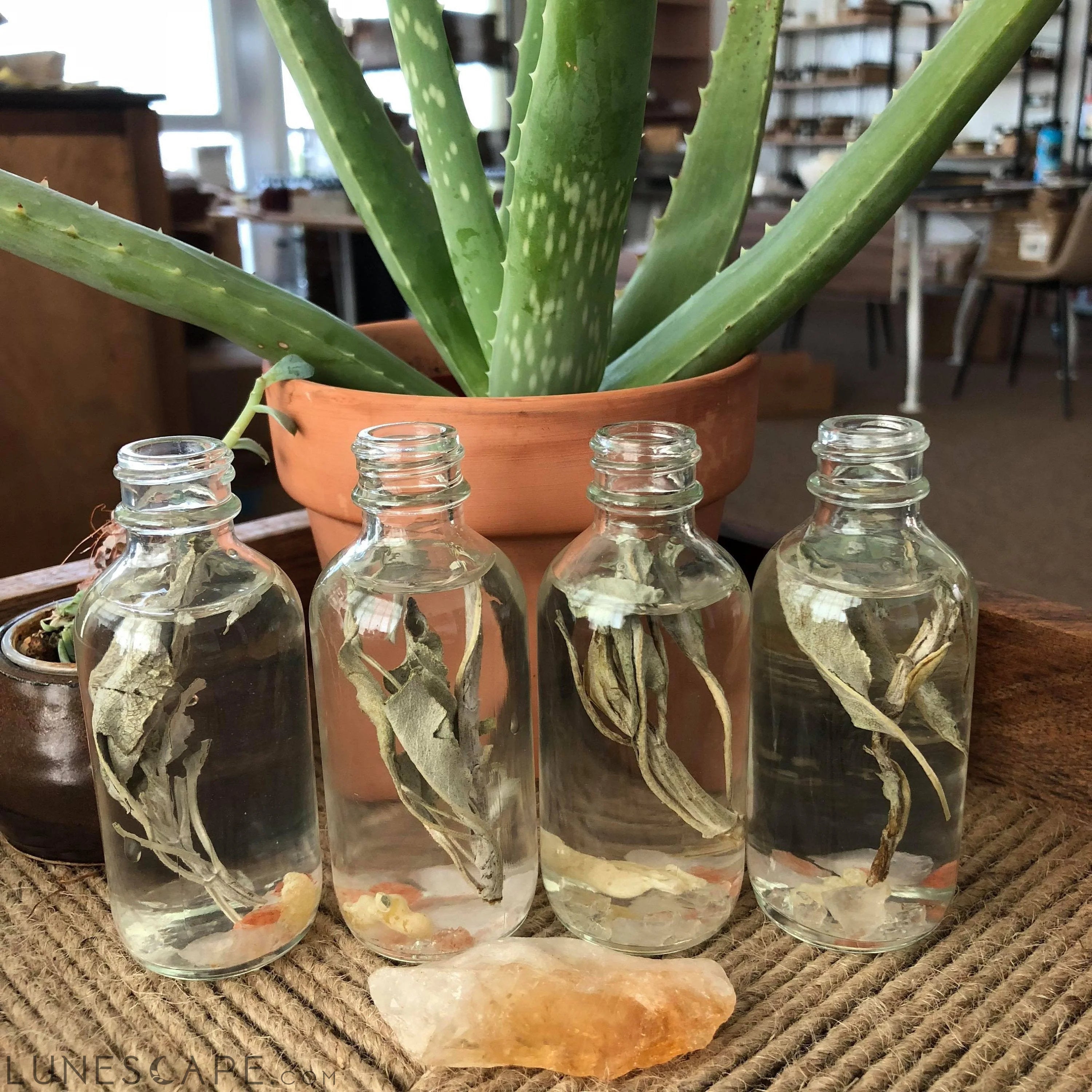 Organic Energy Cleansing Spray / Smudge Spray / Space Clearing / LUNESCAPE