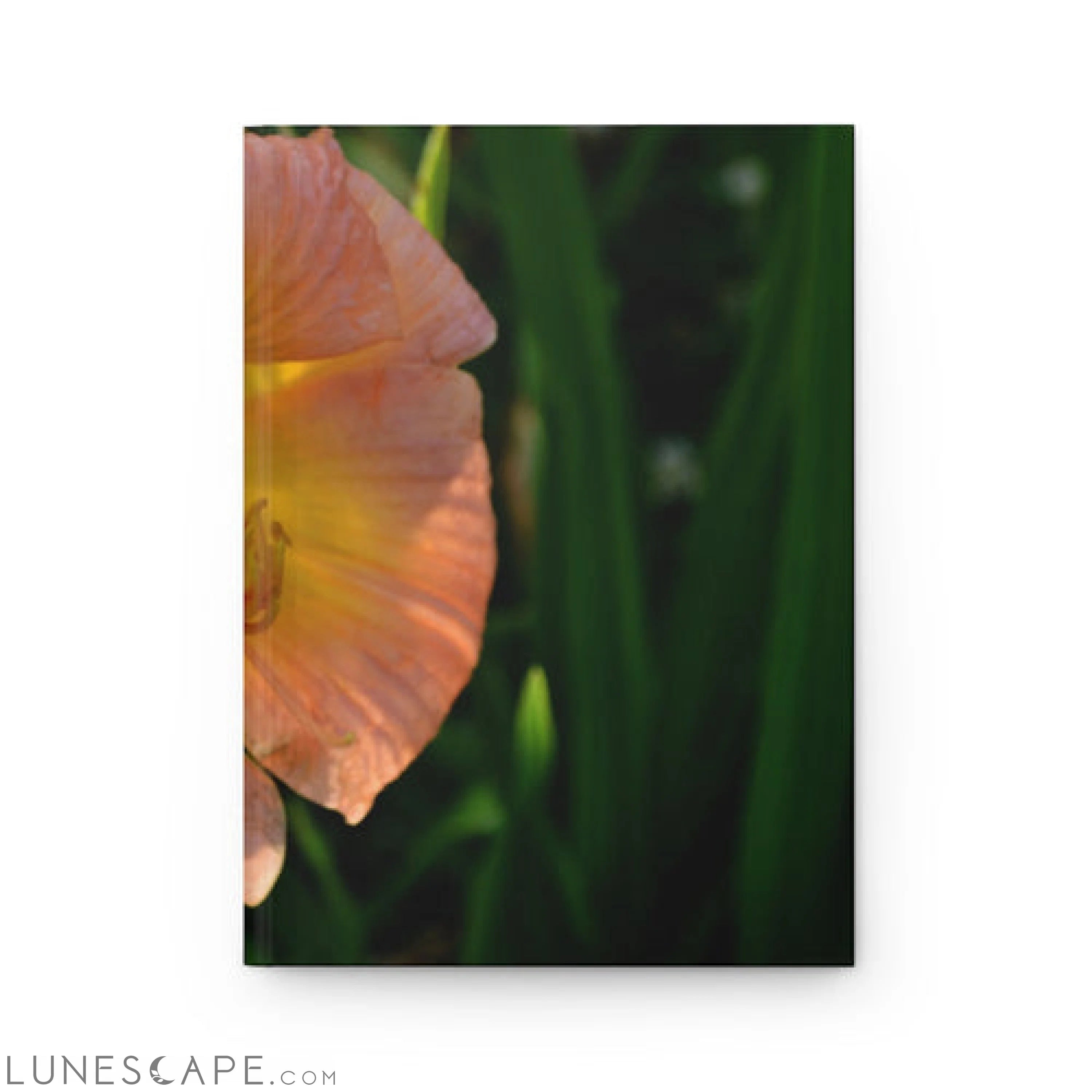 Peach and Yellow Flower Hardcover Journal Matte LUNESCAPE