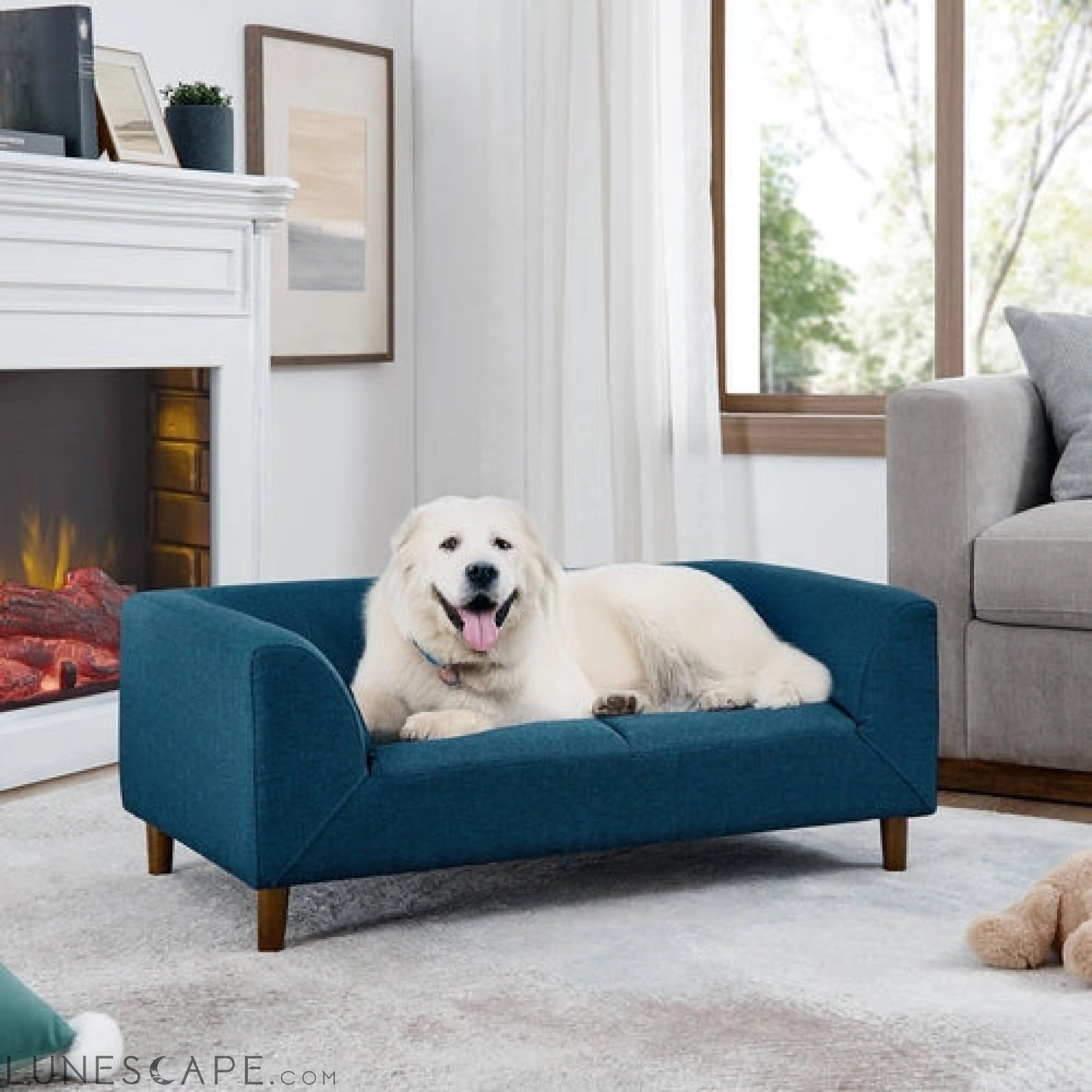 Pet sofa with backrest and armrests, modern rectangular pet sofa LUNESCAPE