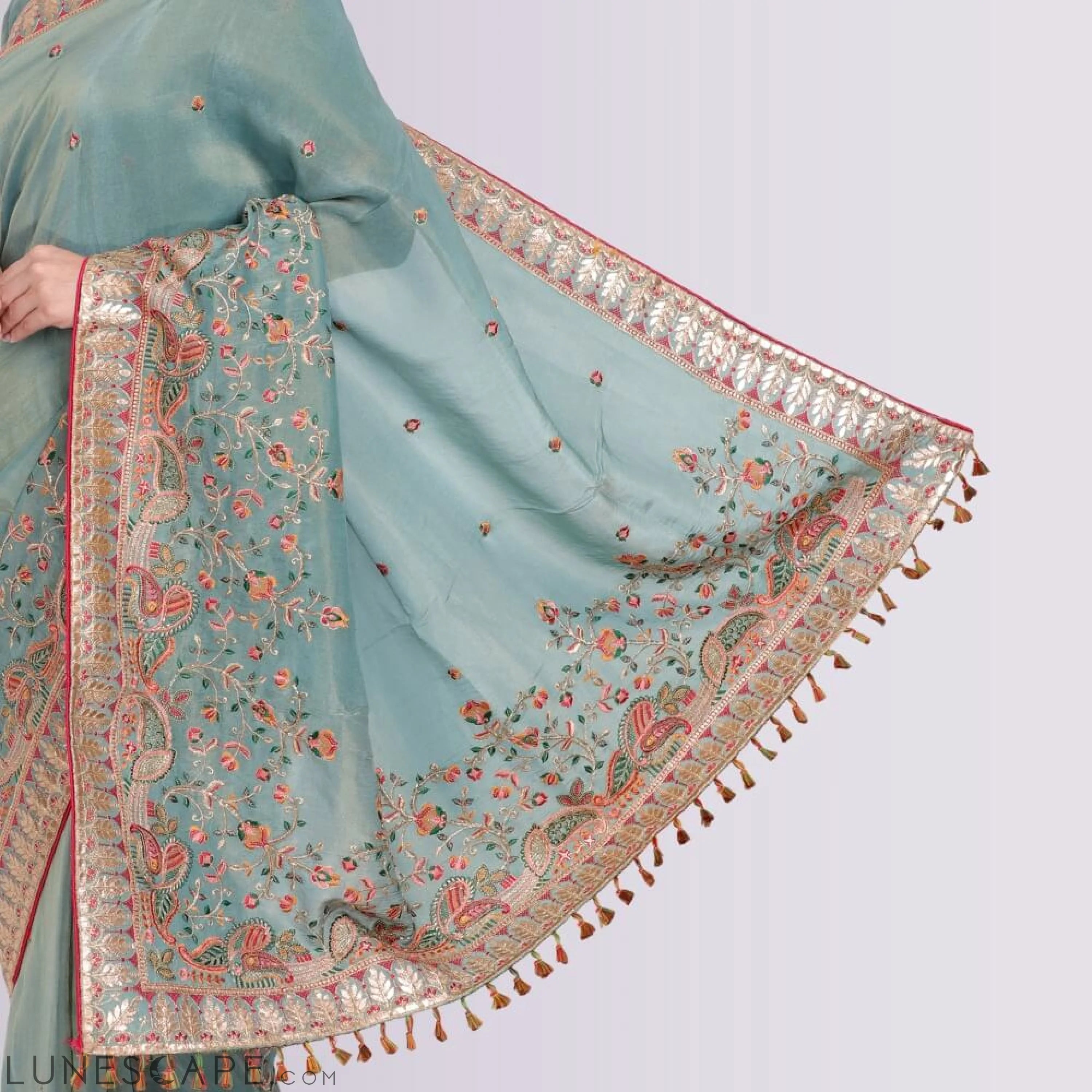 Pure Organza Saree With Hand Embroidery LUNESCAPE
