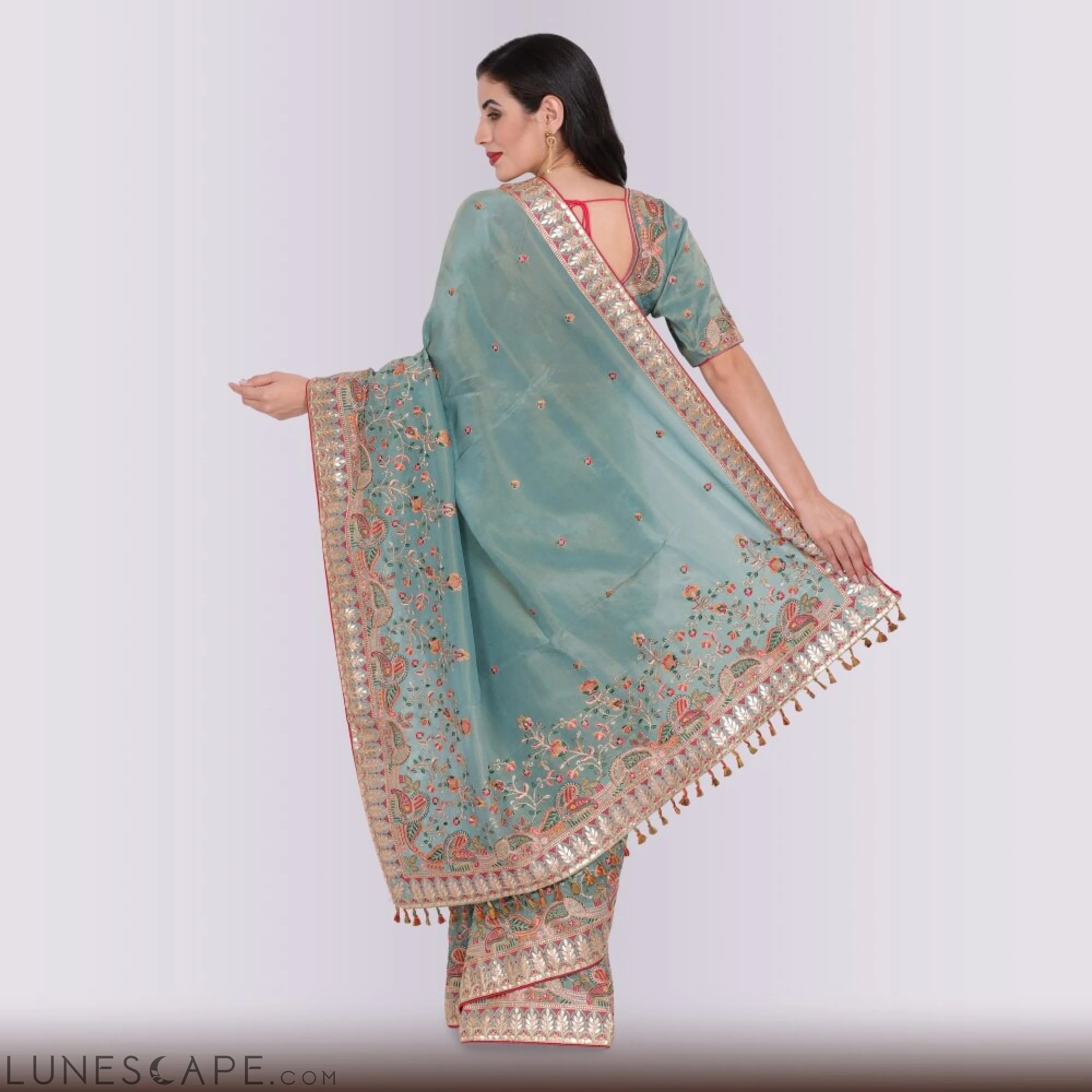 Pure Organza Saree With Hand Embroidery LUNESCAPE