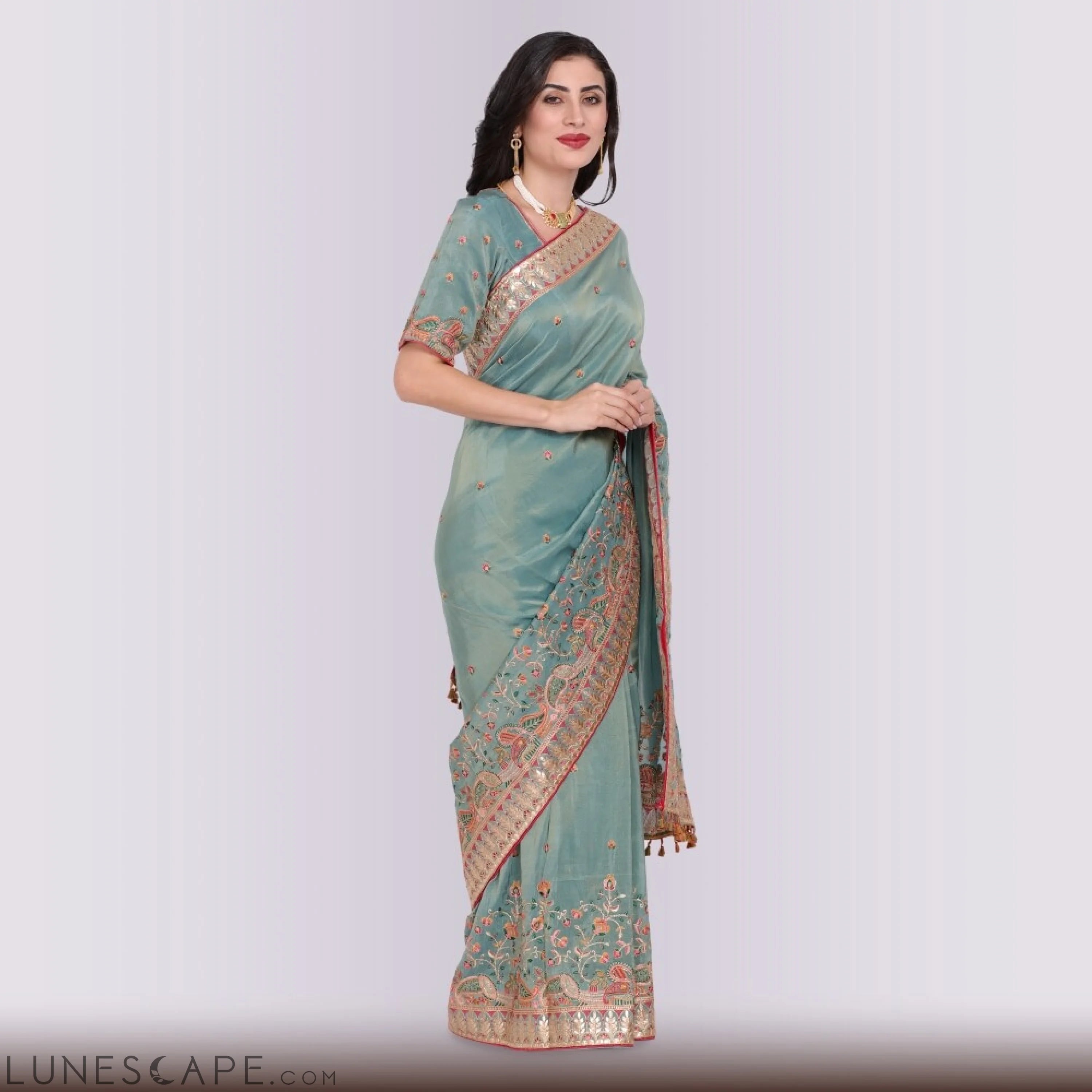 Pure Organza Saree With Hand Embroidery LUNESCAPE