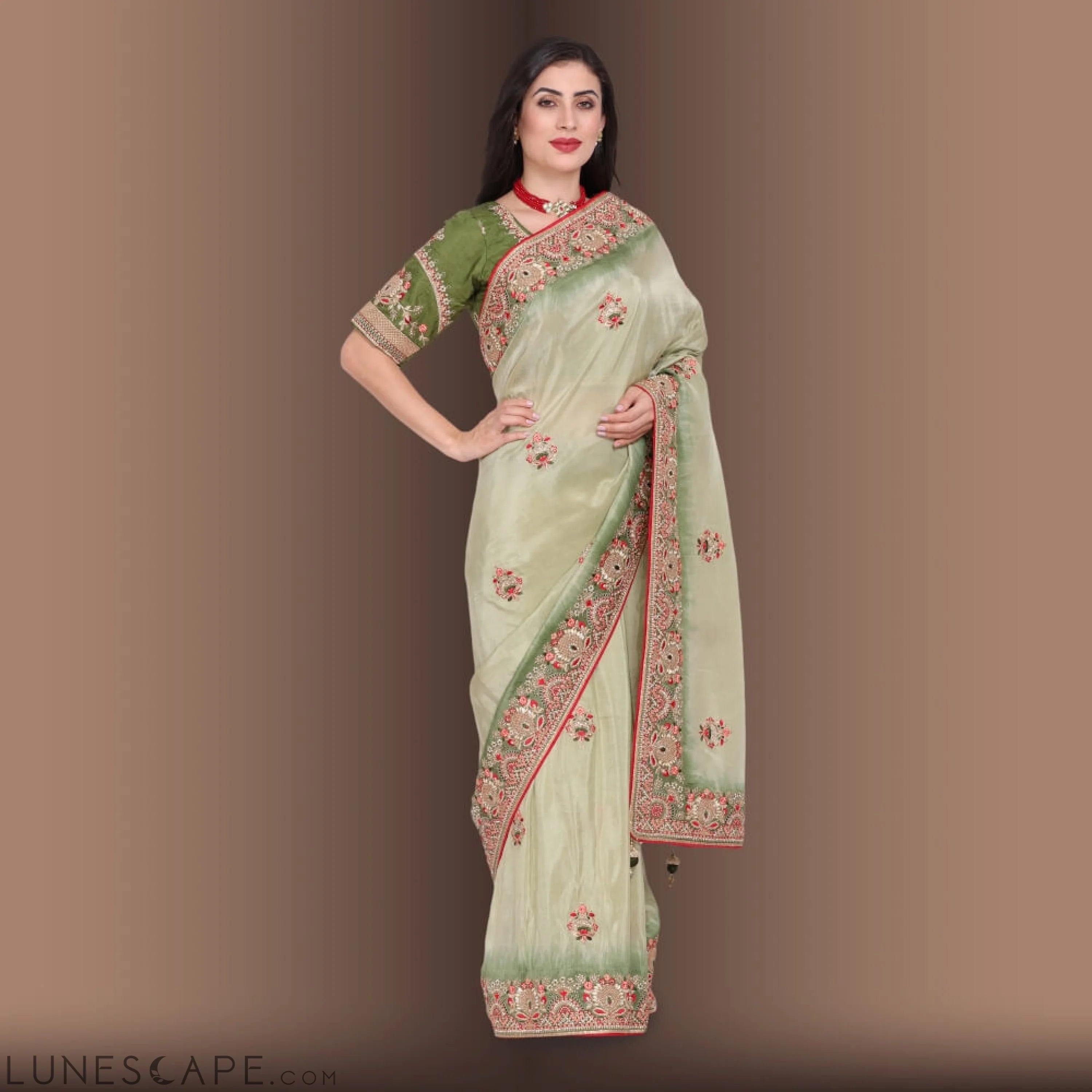 Pure Organza Saree With Zardozi Work LUNESCAPE