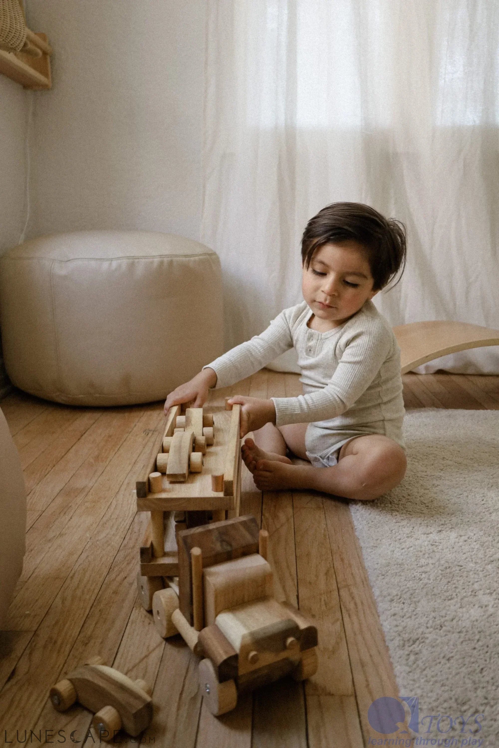 QToys Australia Car transport truck LUNESCAPE