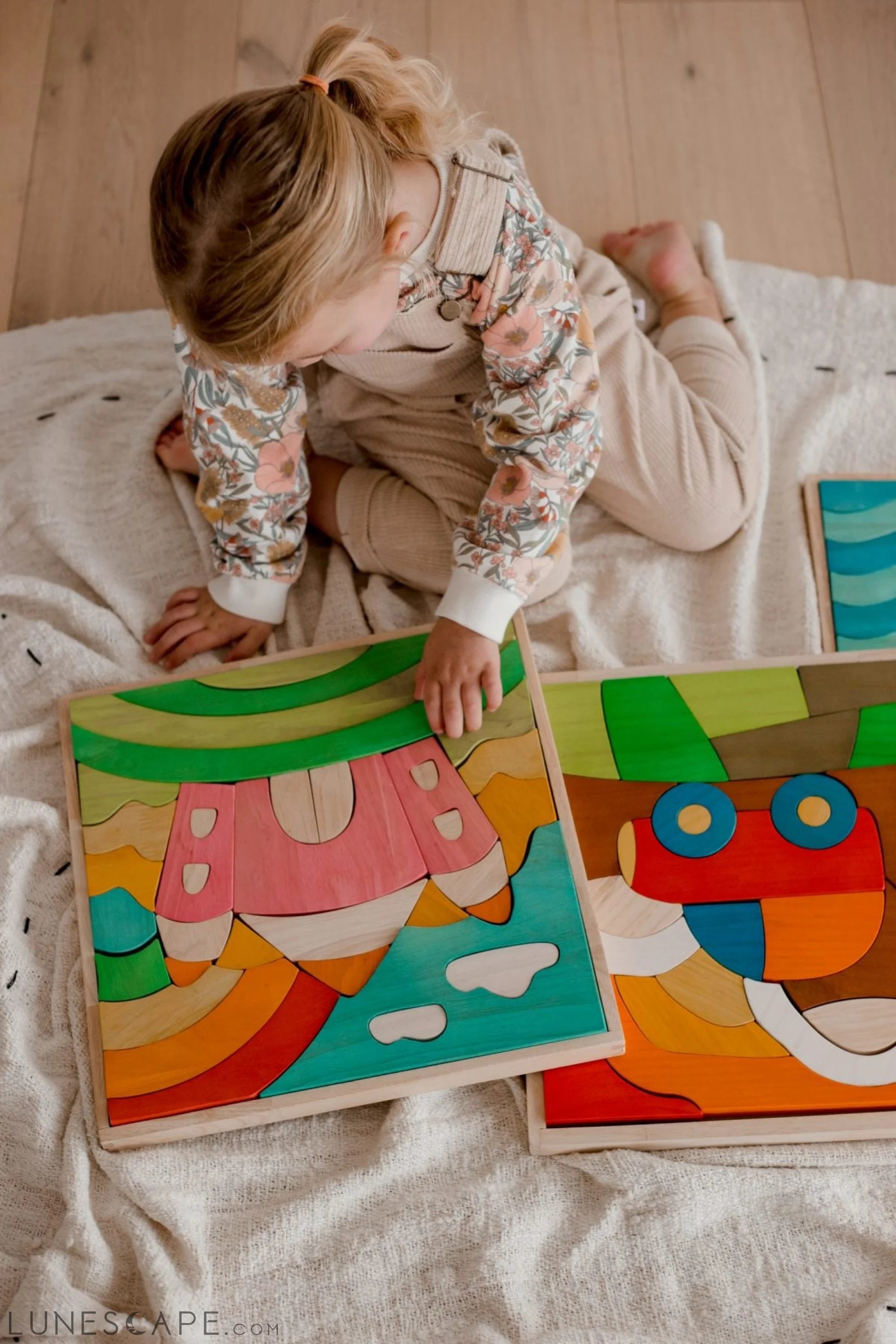 QToys Australia Fairy castle puzzle and play set LUNESCAPE