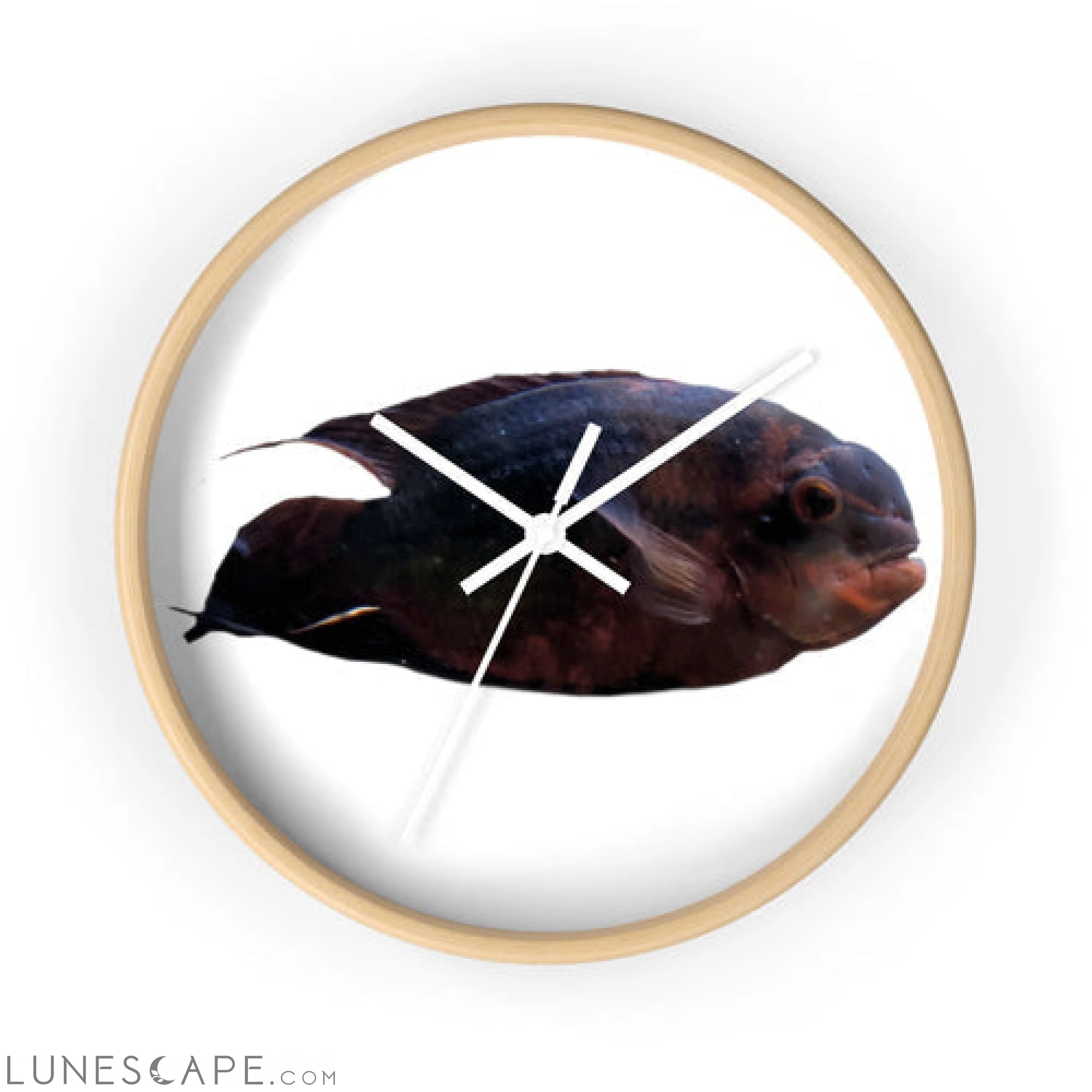 Red Black Fish Wall clock LUNESCAPE