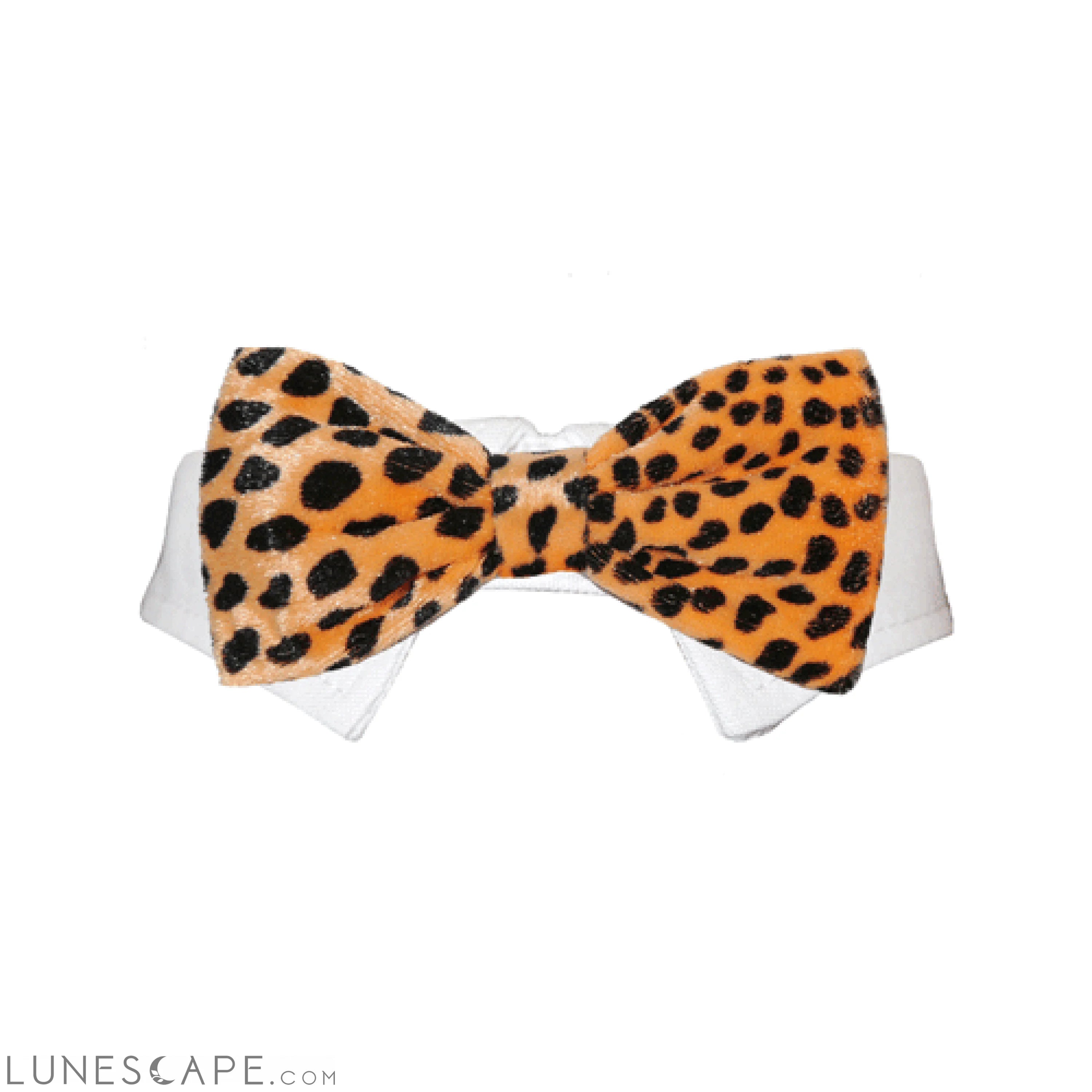 Roberto Bow Tie - Orange LUNESCAPE