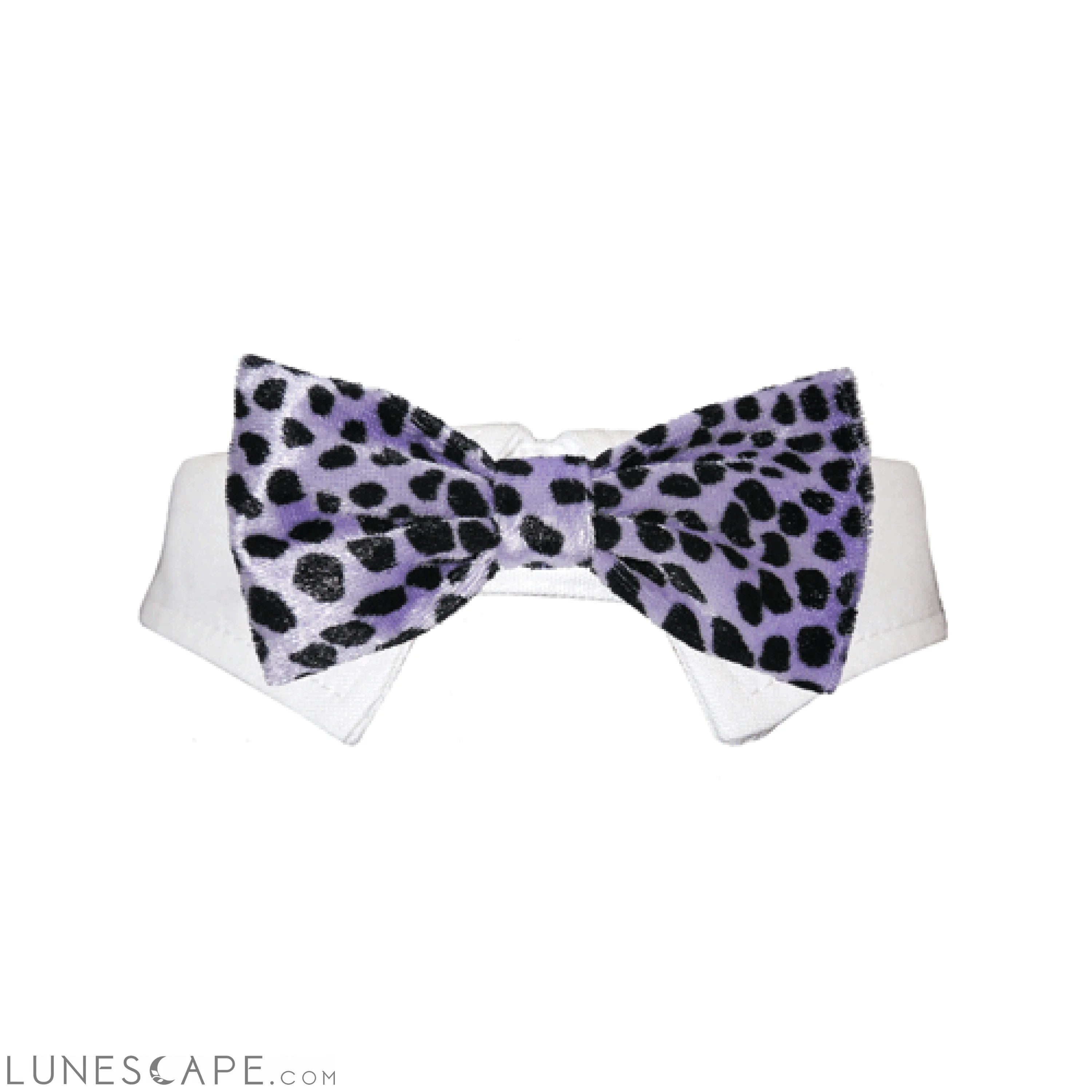Roberto Bow Tie - Purple LUNESCAPE