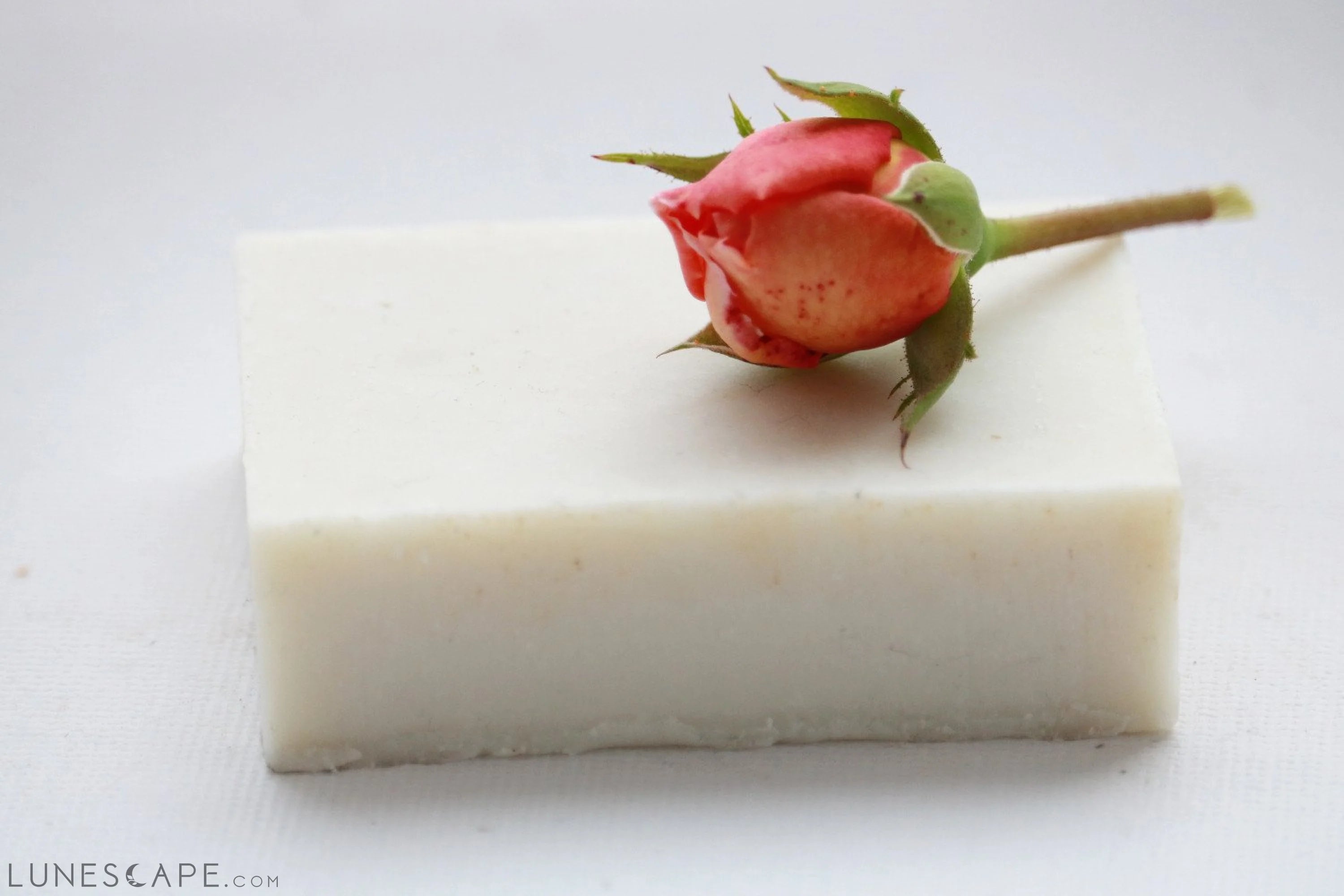 Rose Cardamom Soap Bar, No coconut oil, No Palm LUNESCAPE