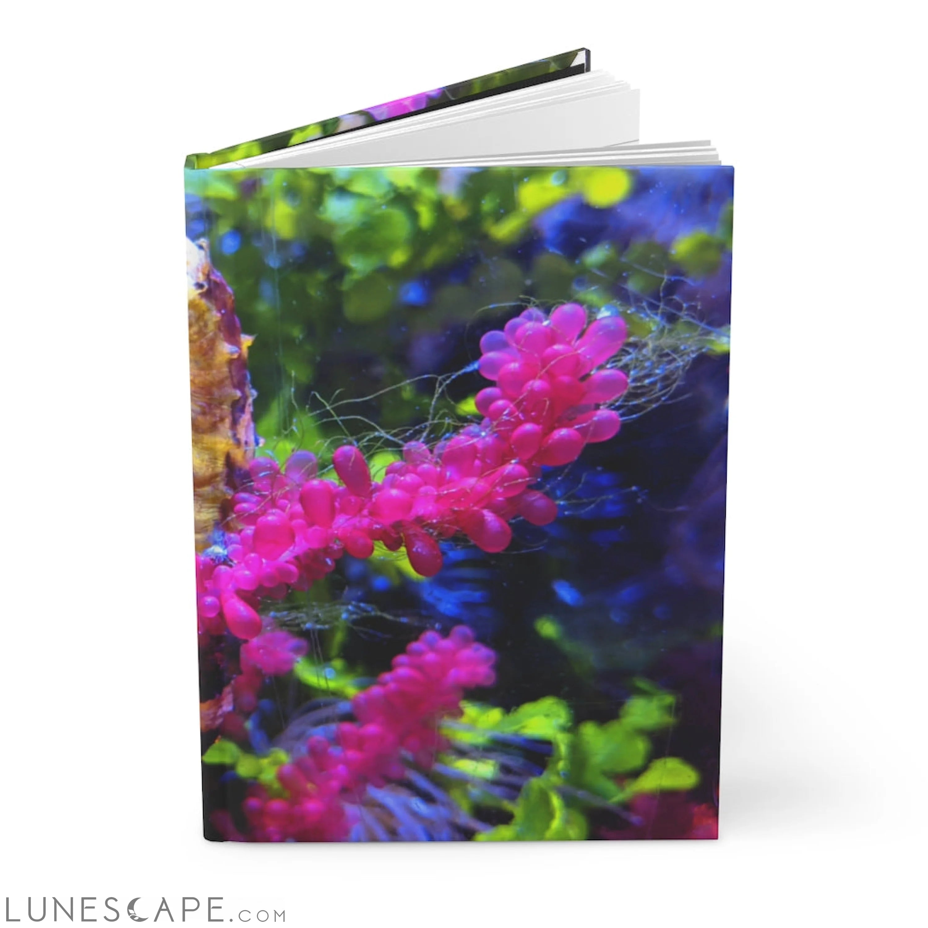 Seahorse Hardcover Journal Matte LUNESCAPE