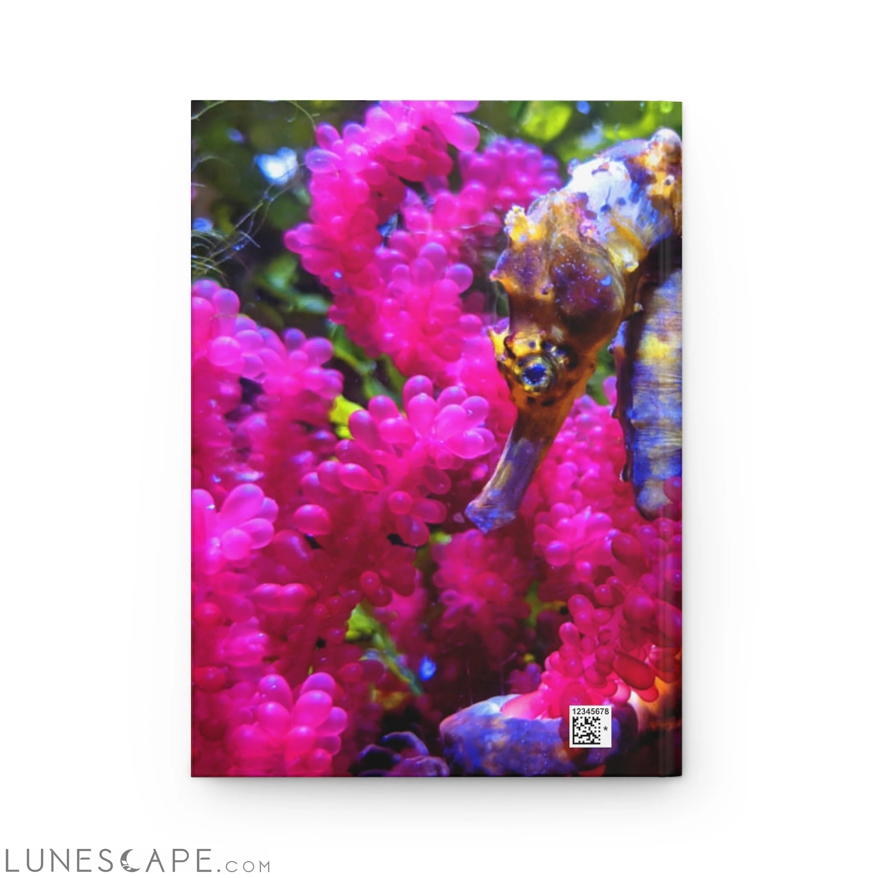 Seahorse Hardcover Journal Matte LUNESCAPE