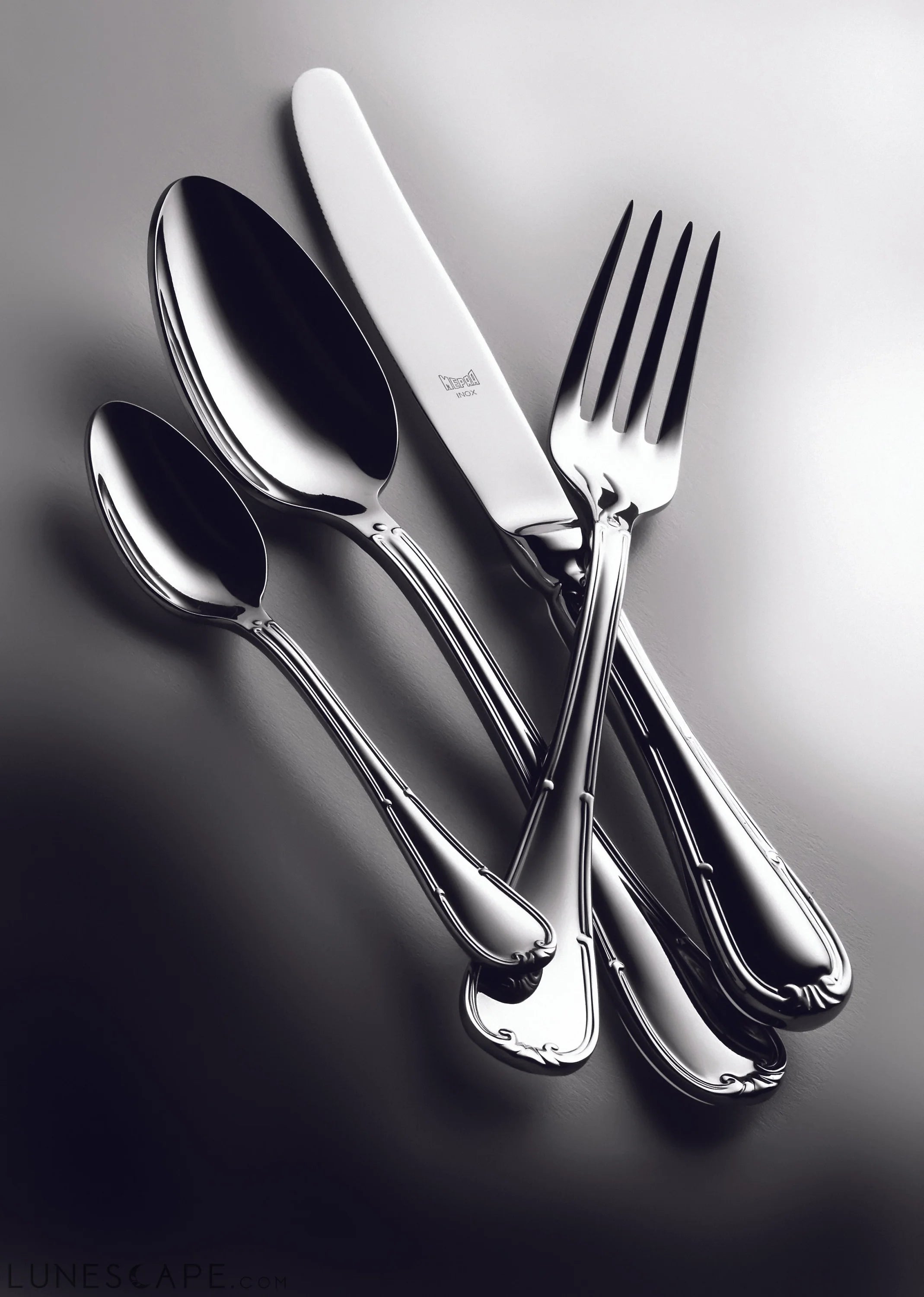 Serving Set (Fork and Spoon) MORETTO ICE LUNESCAPE