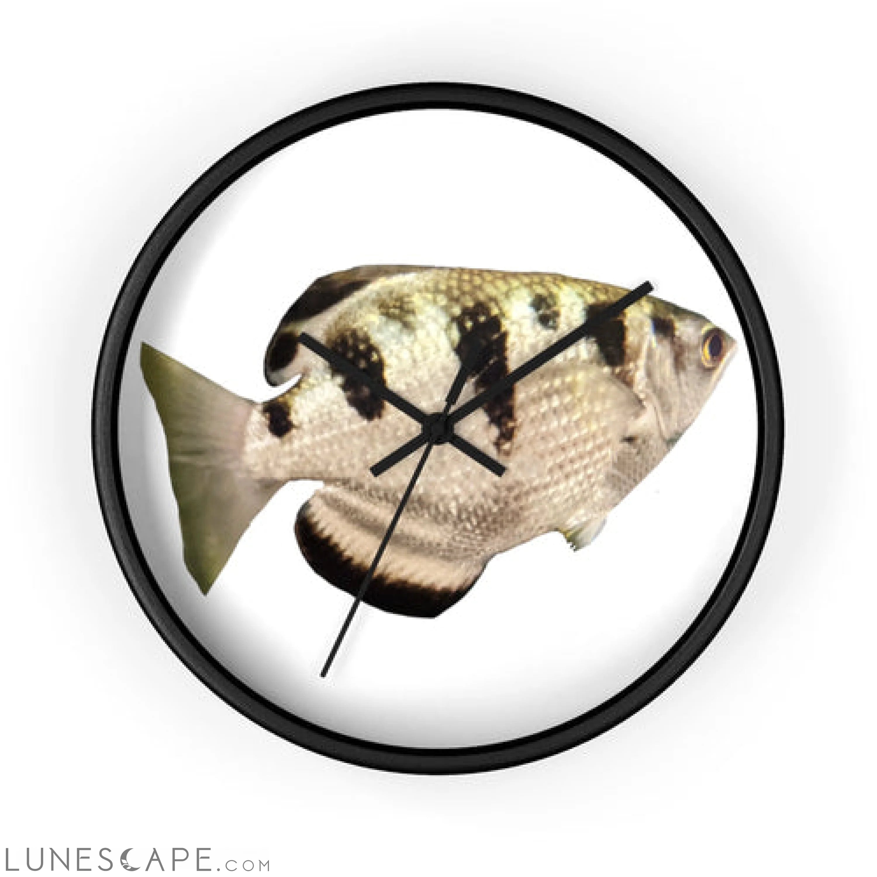 Silver and Black Fish Wall clock LUNESCAPE
