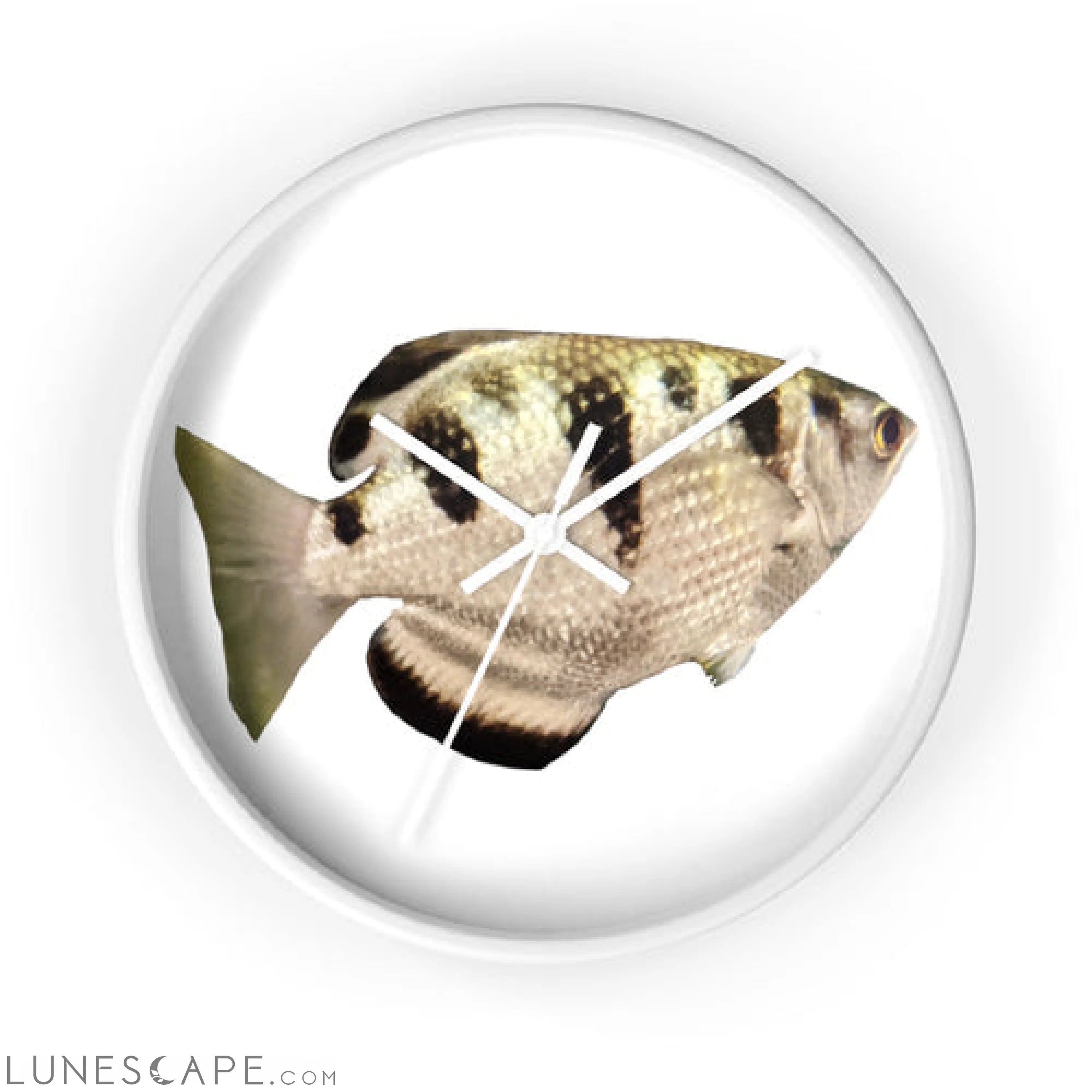 Silver and Black Fish Wall clock LUNESCAPE
