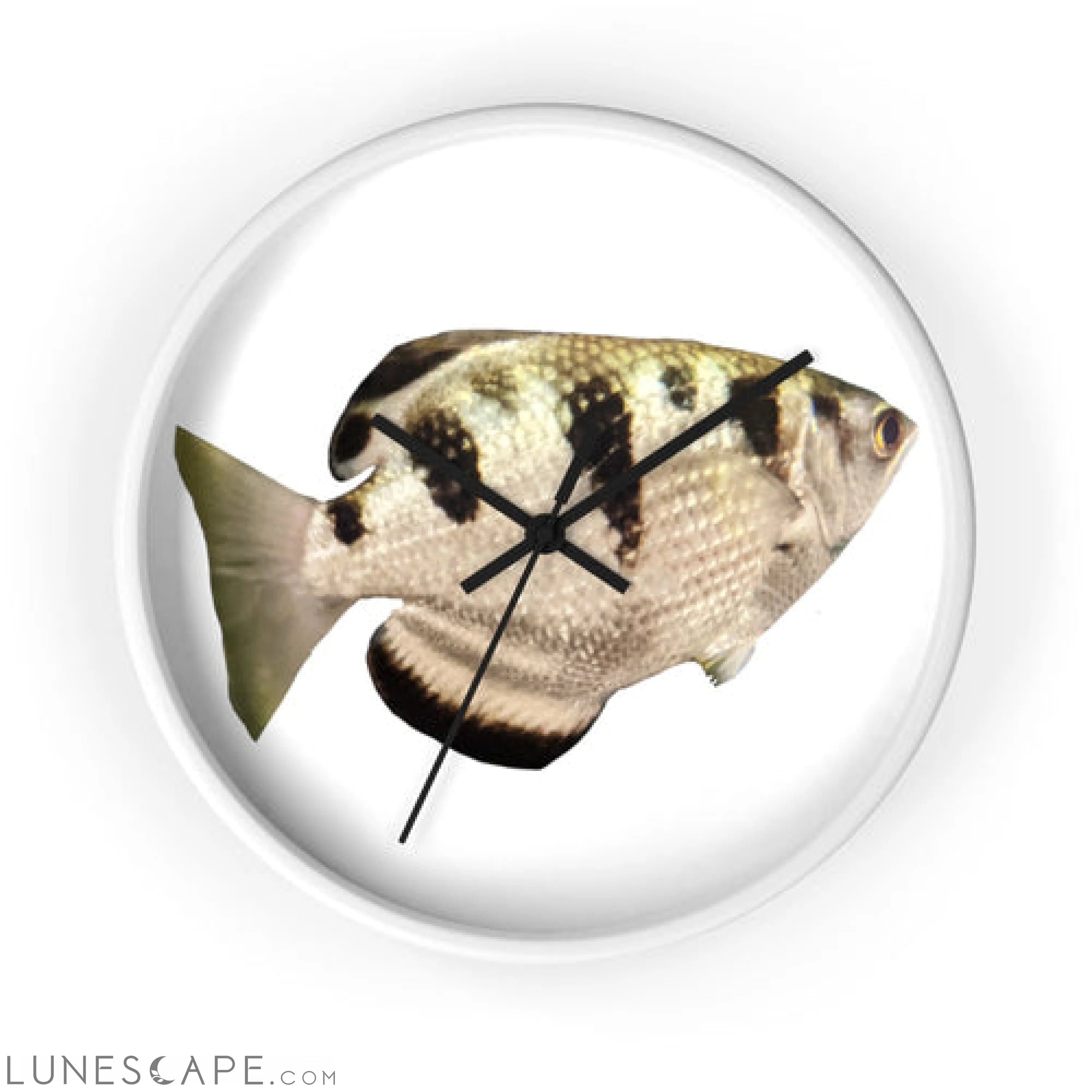 Silver and Black Fish Wall clock LUNESCAPE