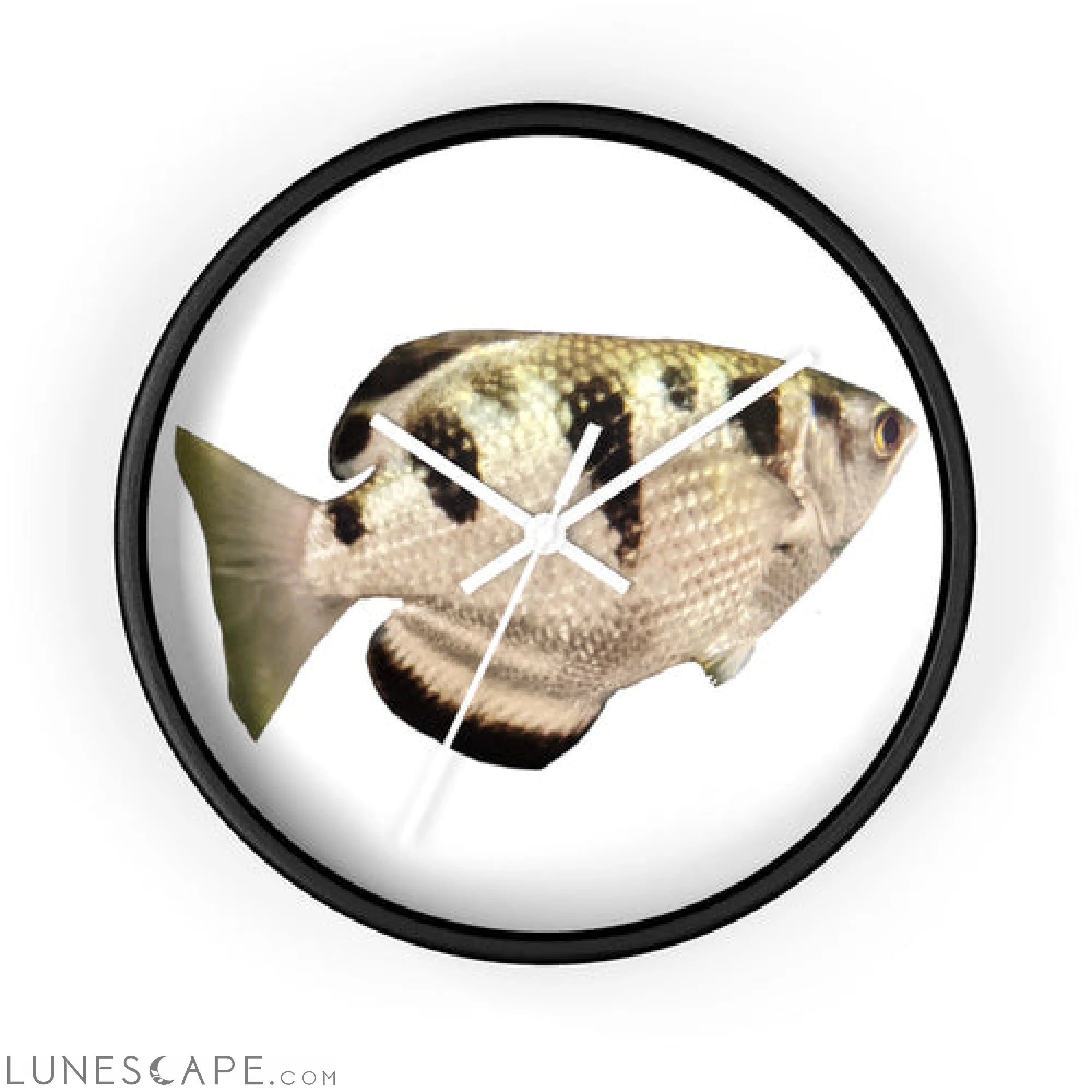 Silver and Black Fish Wall clock LUNESCAPE