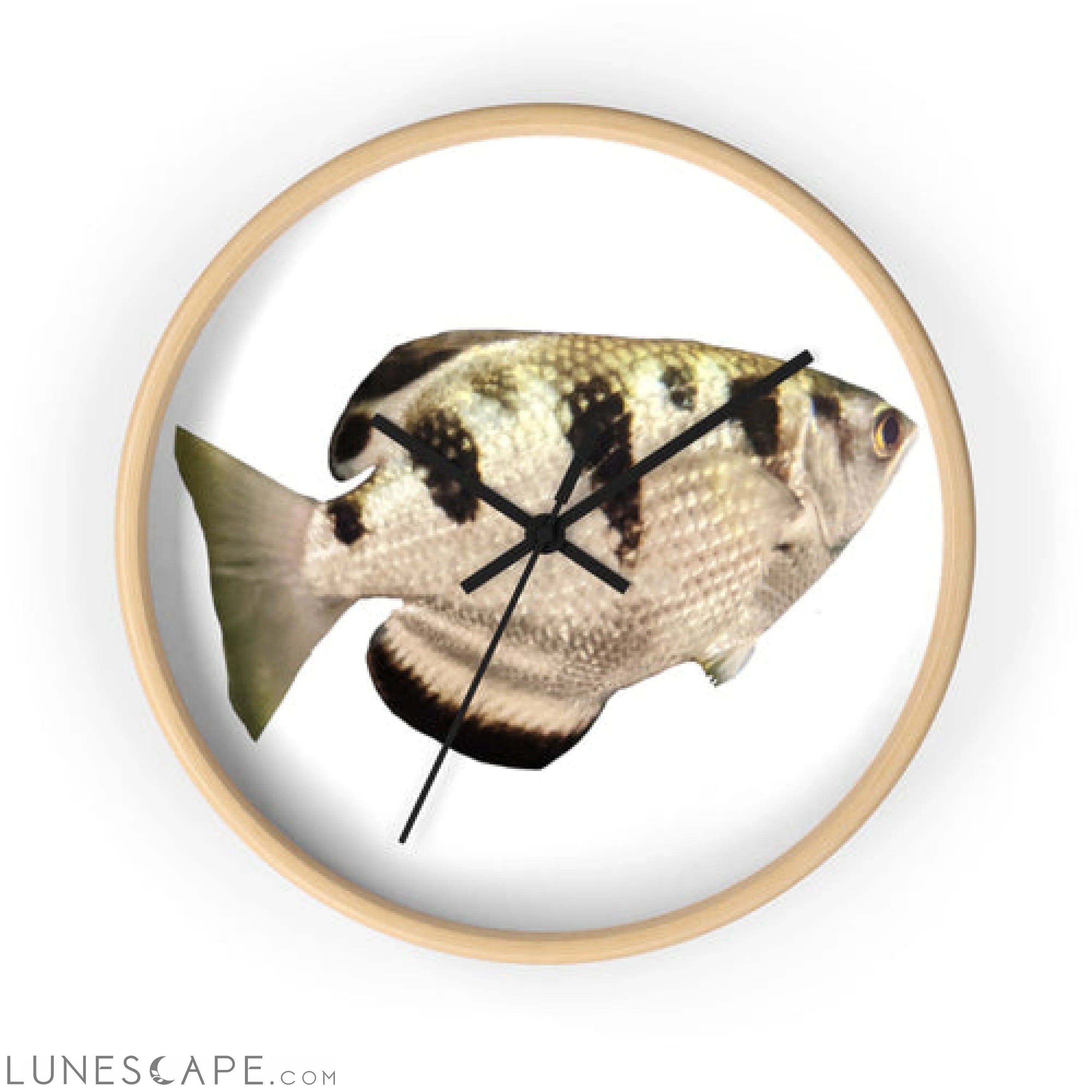 Silver and Black Fish Wall clock LUNESCAPE