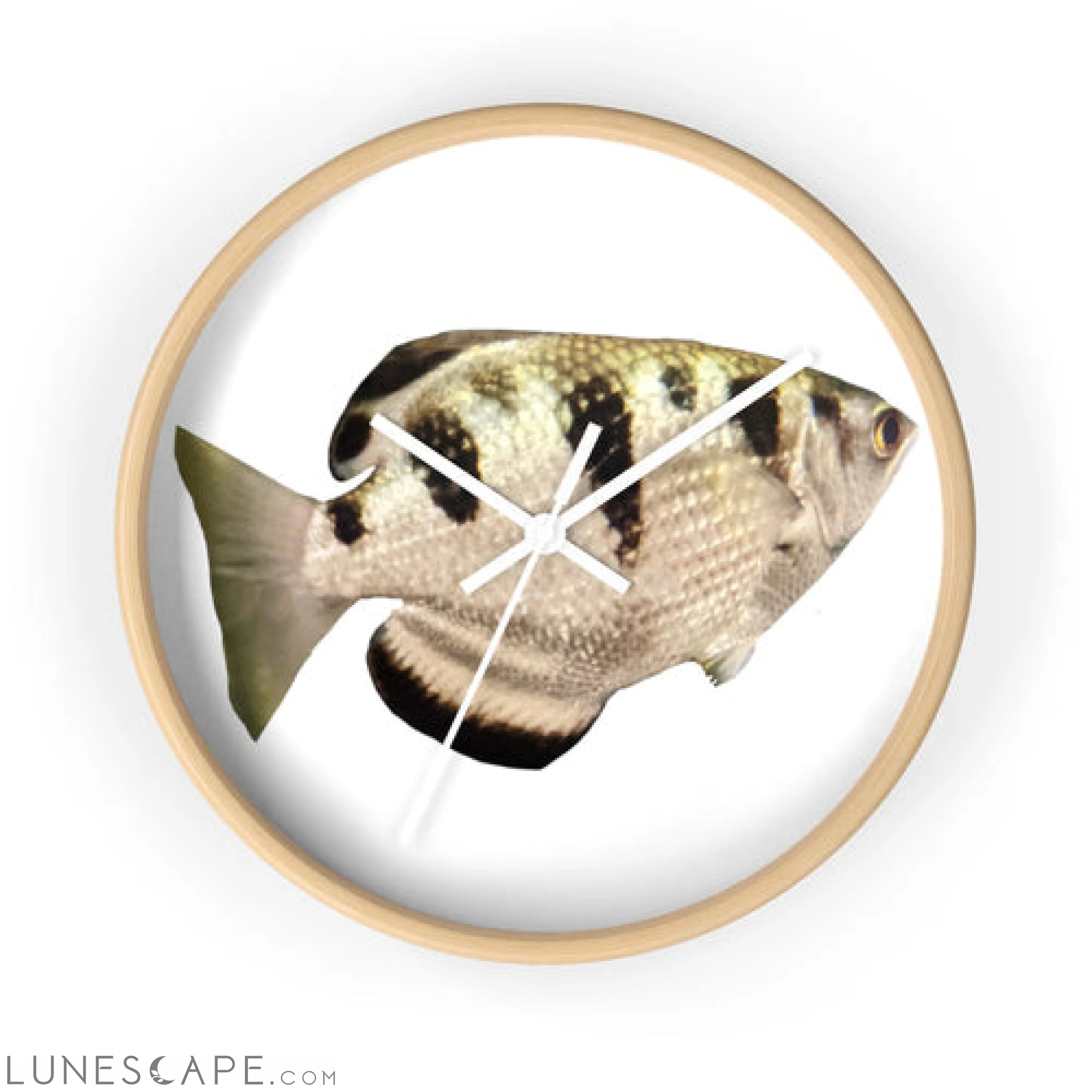 Silver and Black Fish Wall clock LUNESCAPE