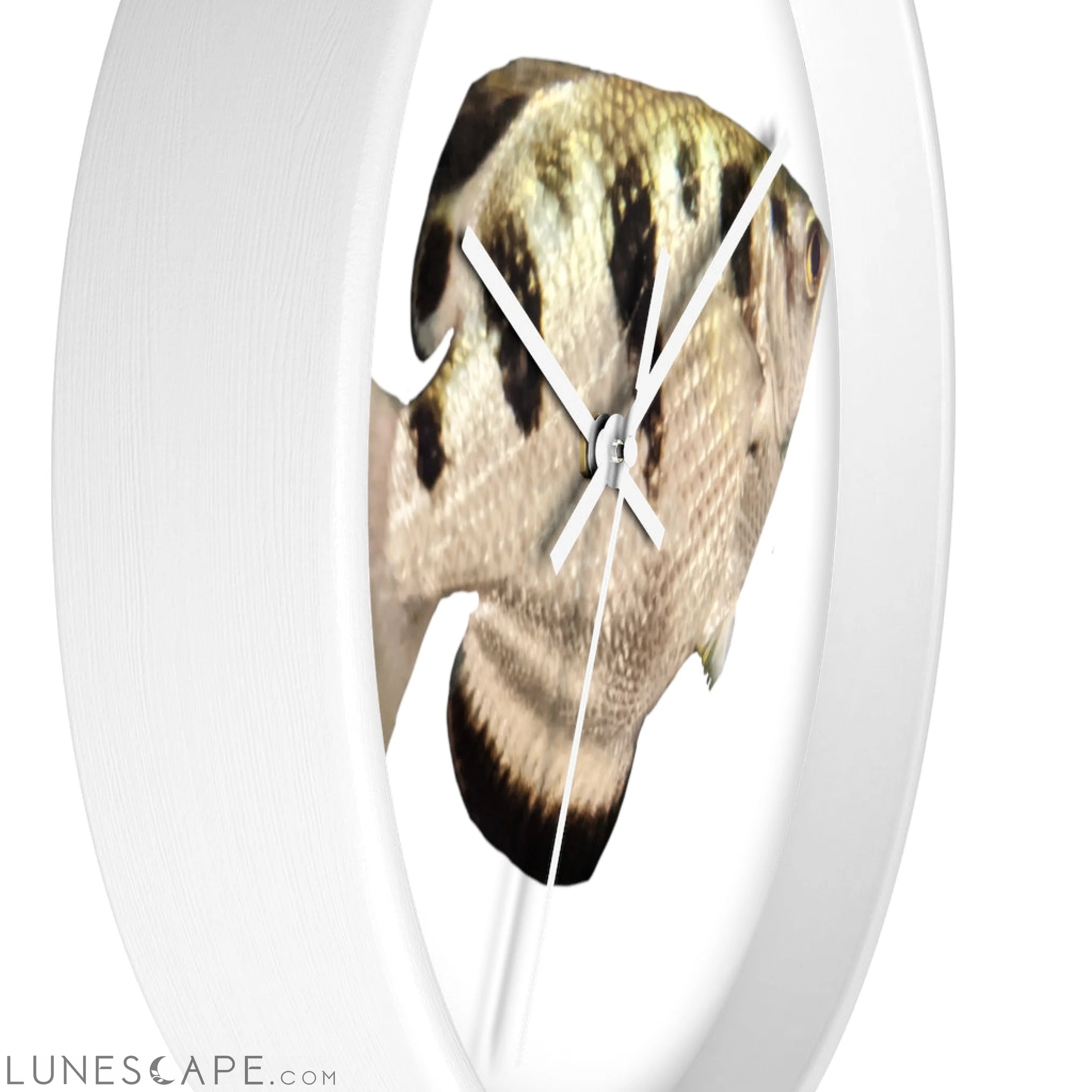 Silver and Black Fish Wall clock LUNESCAPE